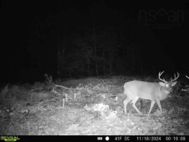 $55,900.00: Lot (PID 05046693) Victory Road, Victory