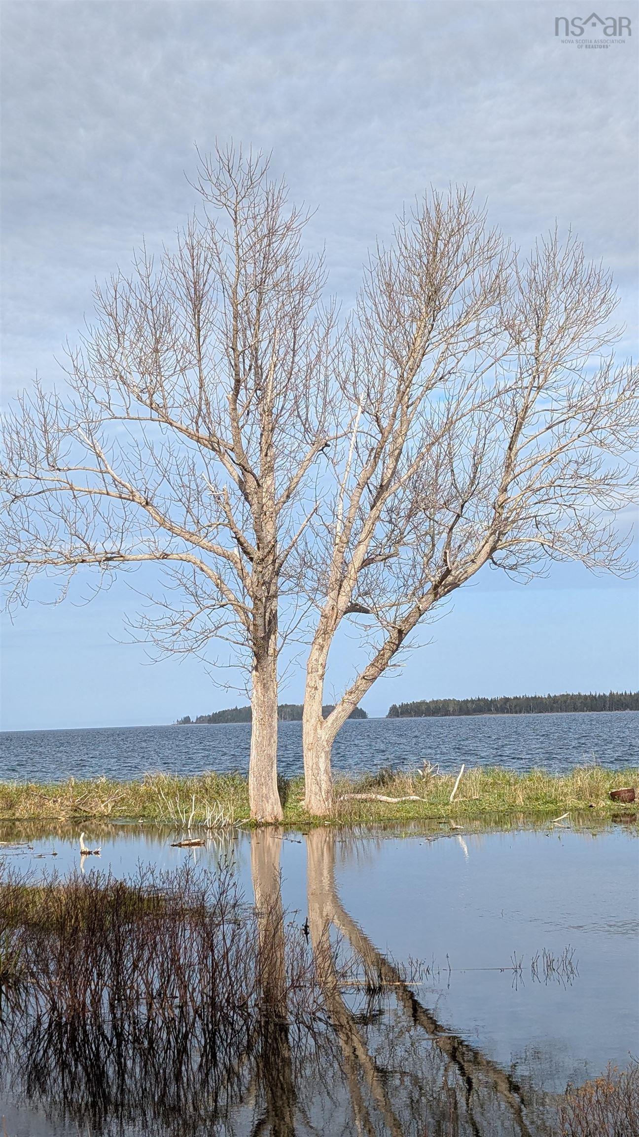 $599,000.00: Marble Mountain Road, Lime Hill