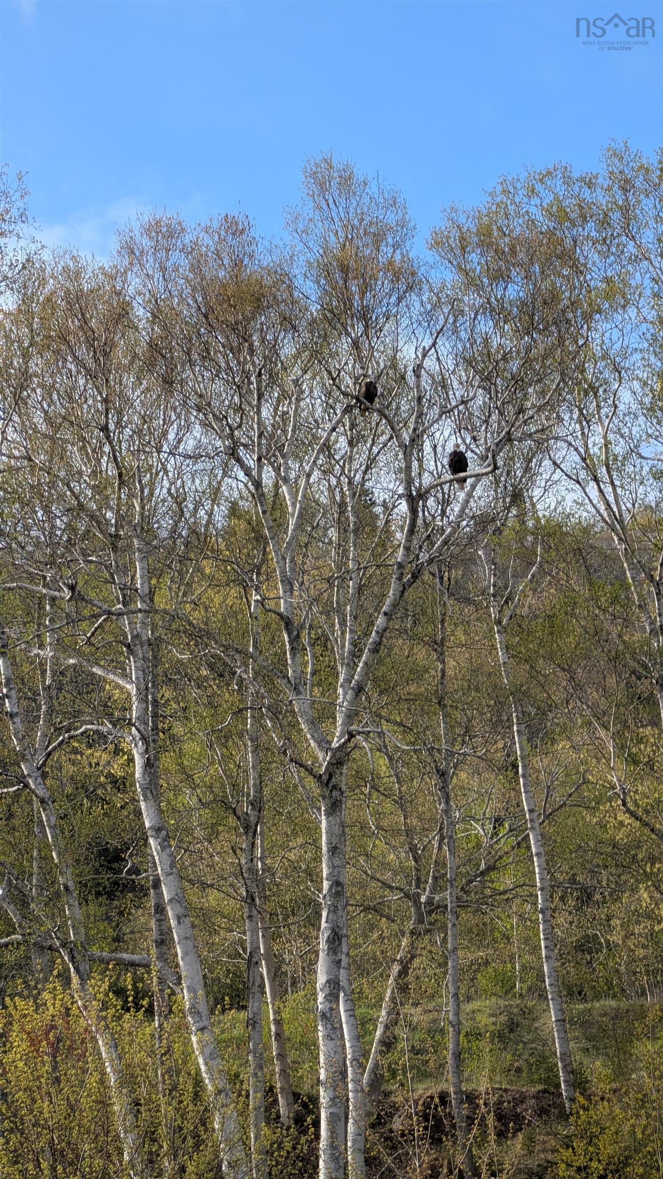 $599,000.00: Marble Mountain Road, Lime Hill