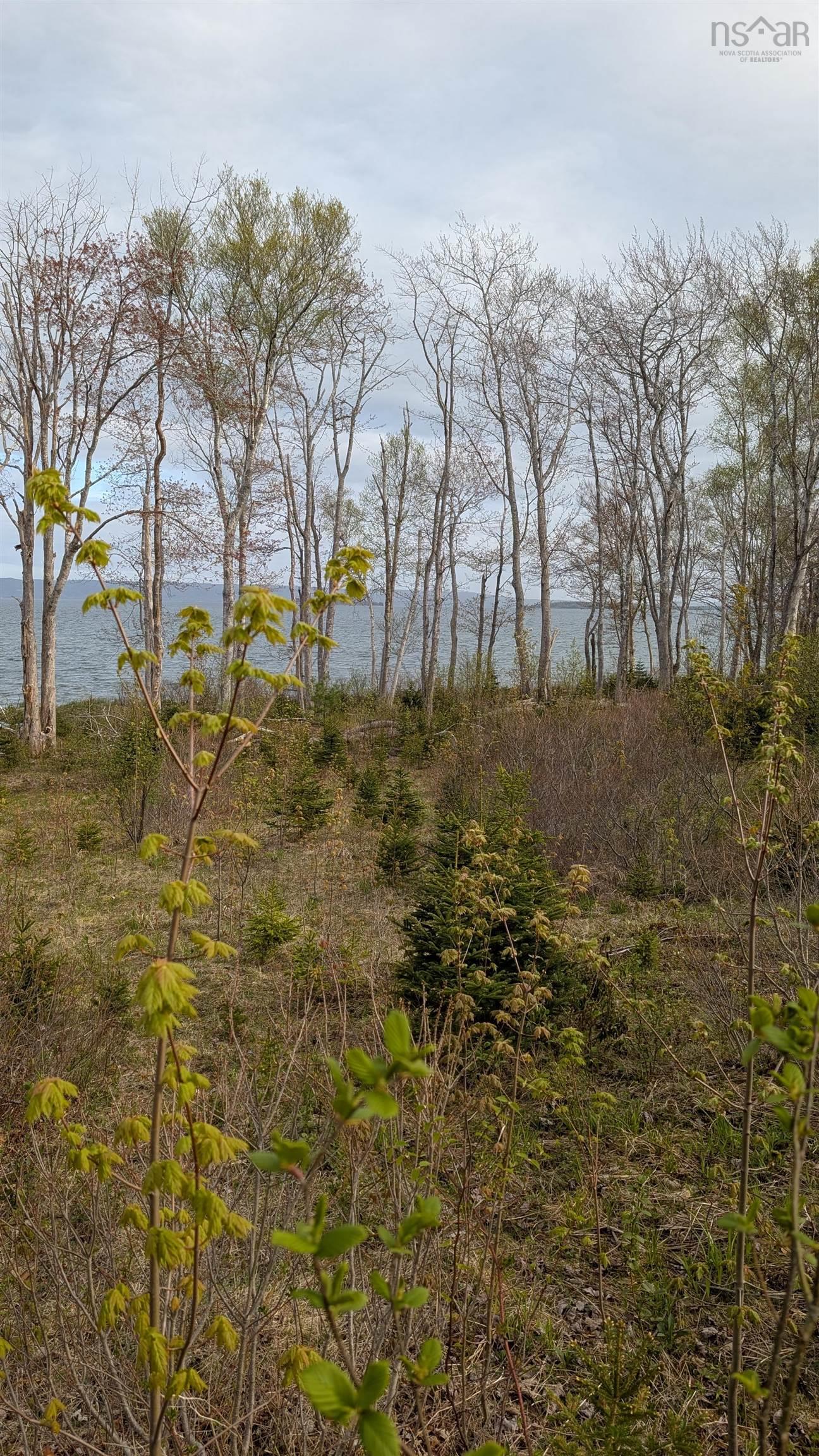 $599,000.00: Marble Mountain Road, Lime Hill