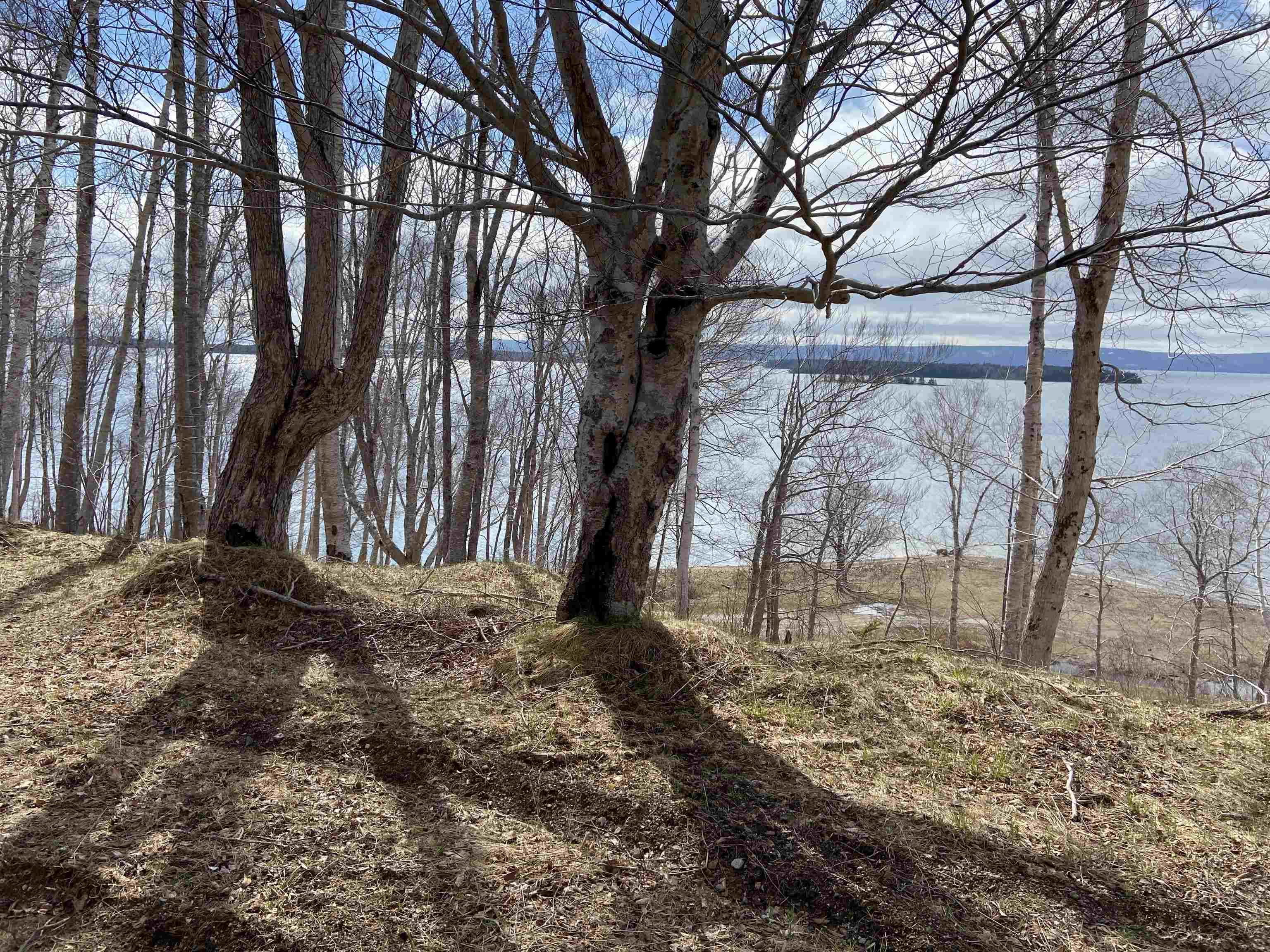 $599,000.00: Marble Mountain Road, Lime Hill