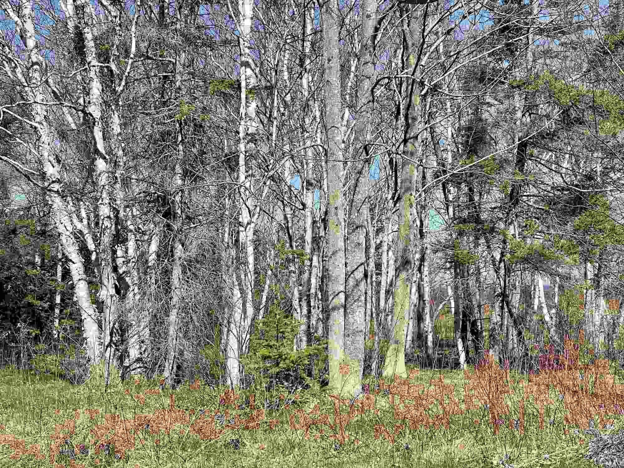 $140,000.00: Lot 18 Millbrook Rise, Antigonish