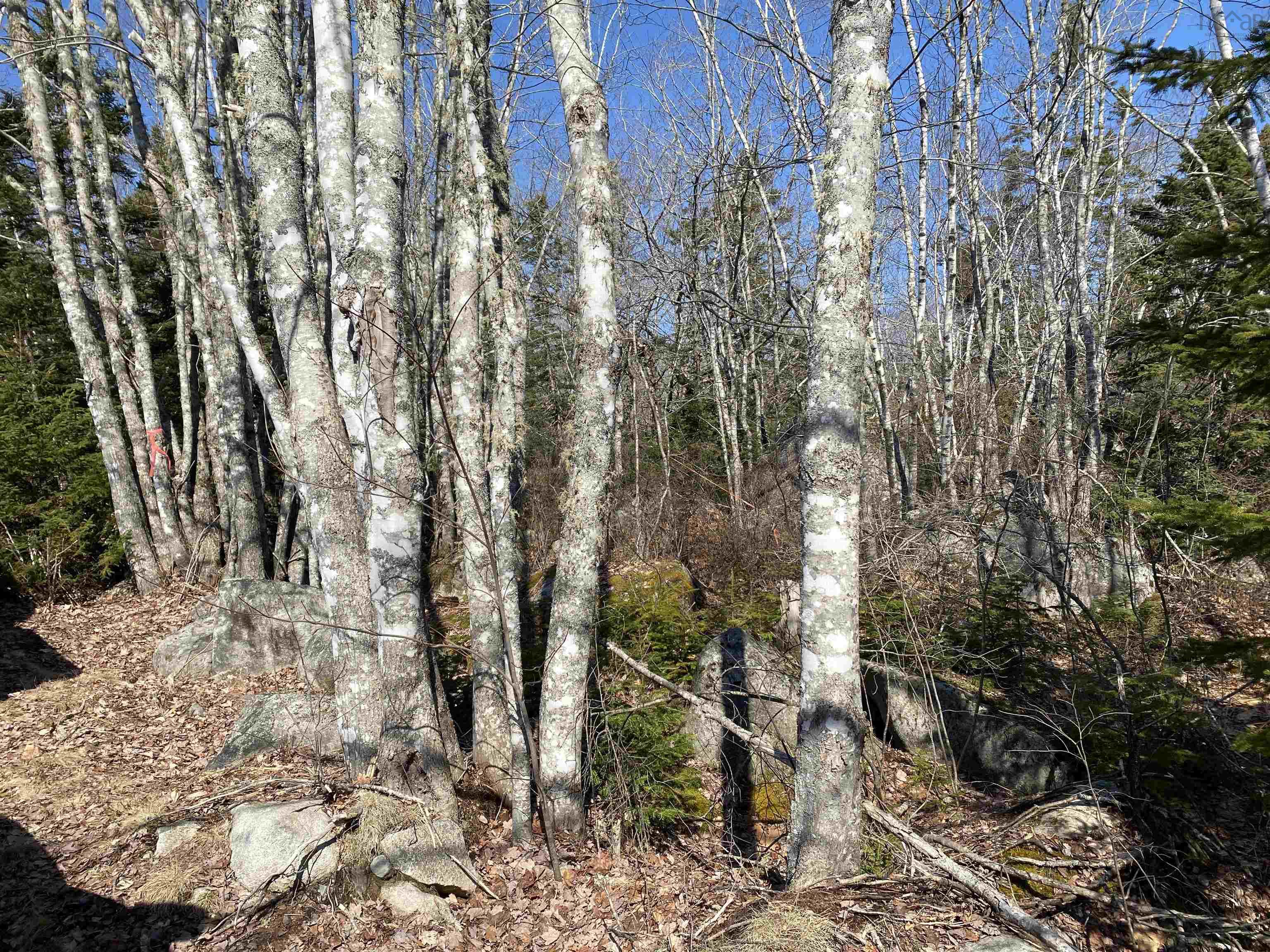 $149,900.00: Lot 76 Sunset Road, Port Mouton