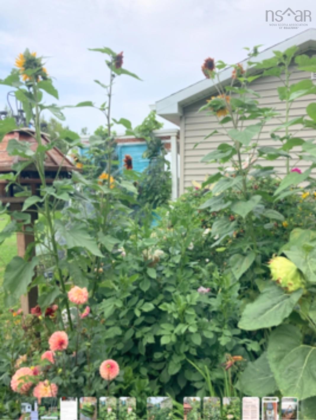 $354,900.00: 9295 Hwy#366 Highway, Port Howe