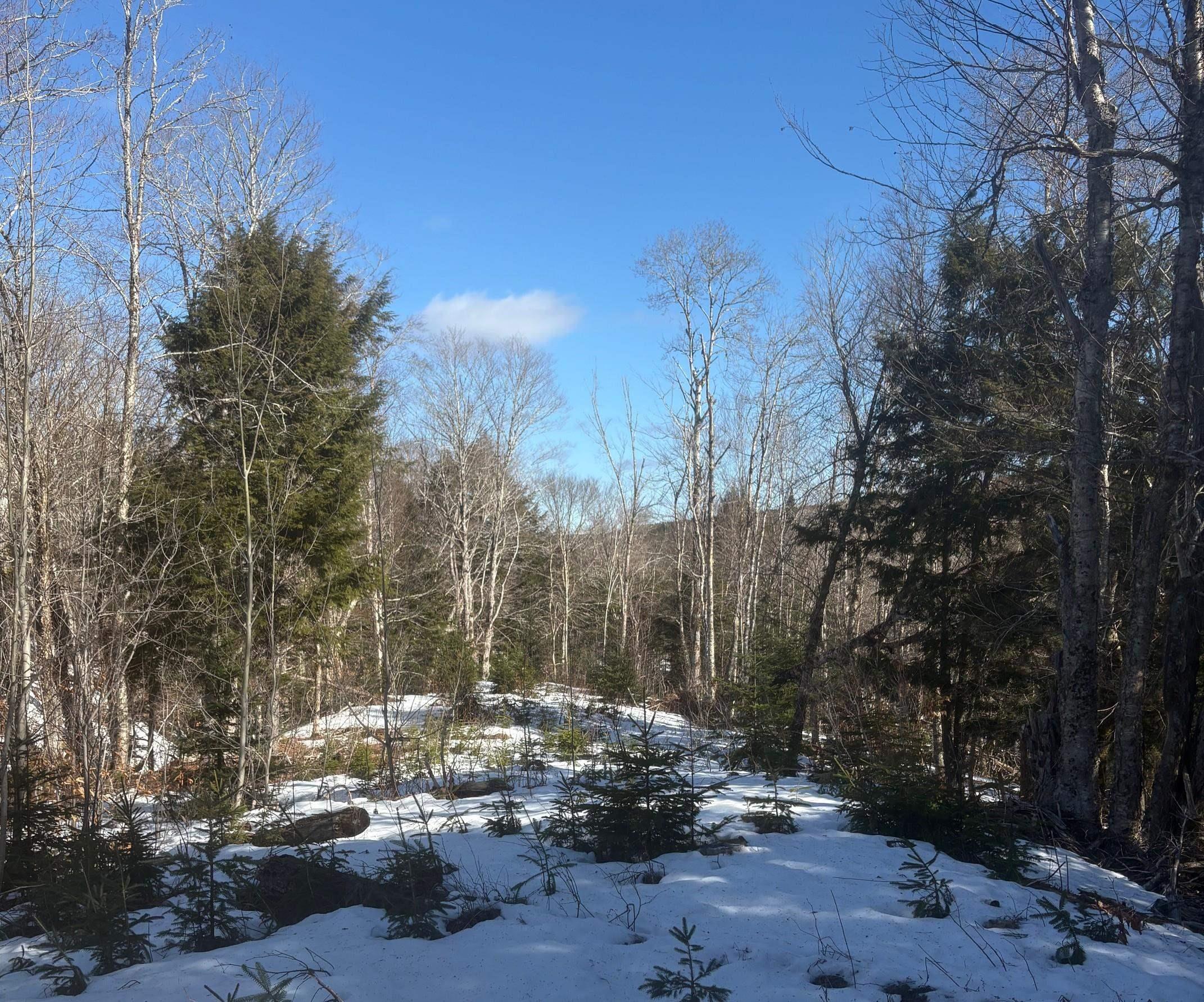 $109,000.00: DA23-2 VL 311 Highway, Earltown