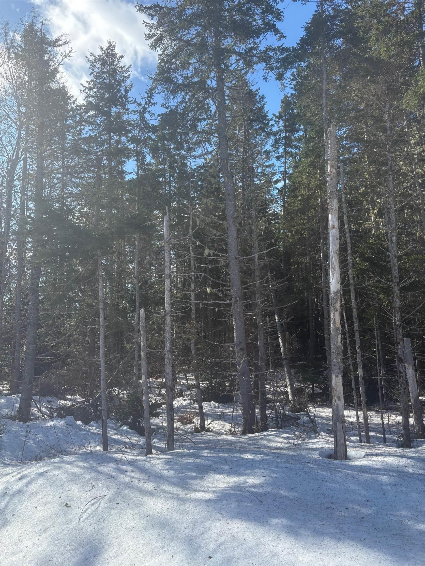 $109,000.00: DA23-2 VL 311 Highway, Earltown