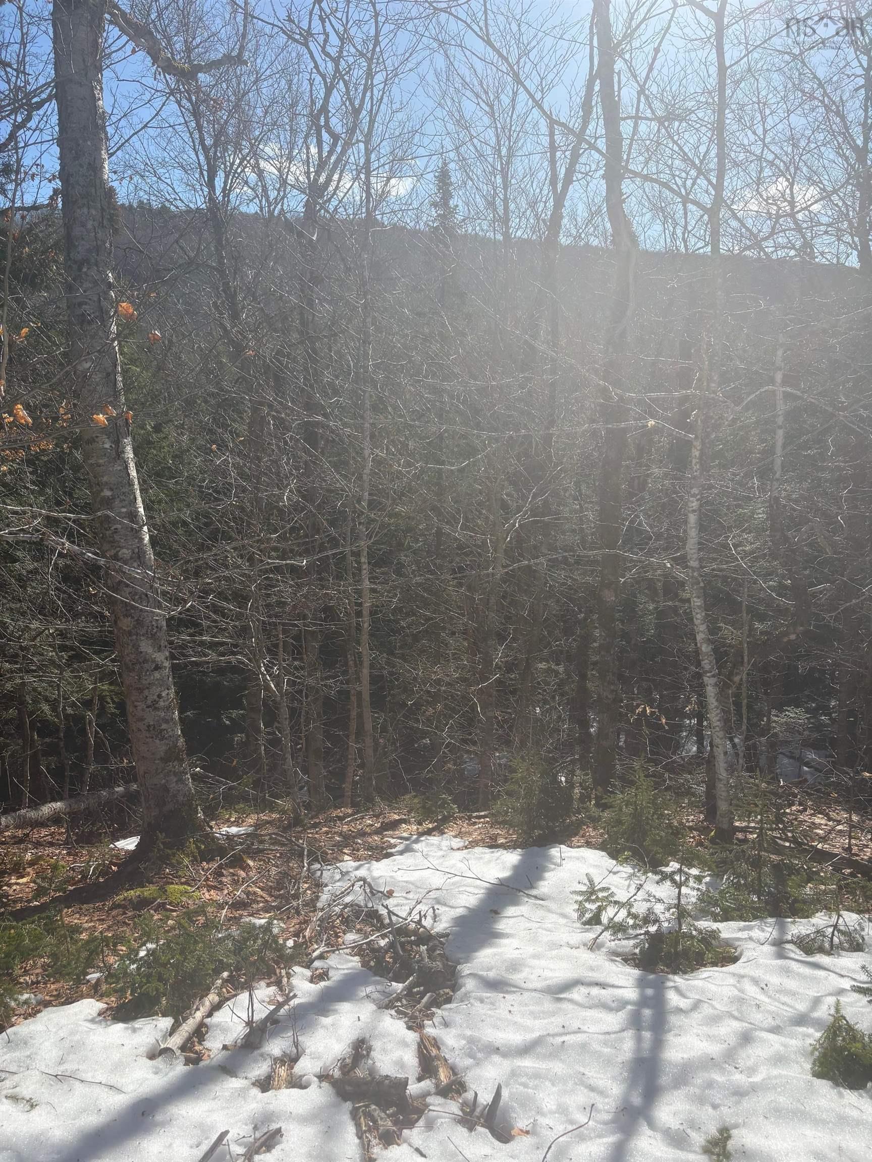 $109,000.00: DA23-2 VL 311 Highway, Earltown