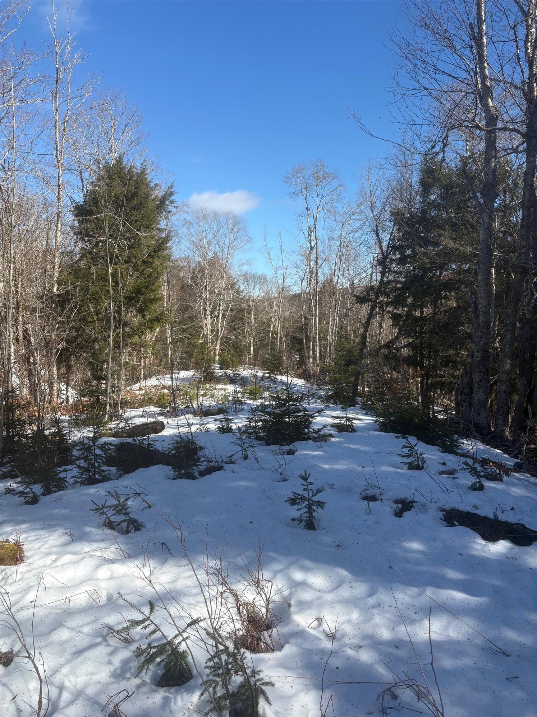 $109,000.00: DA23-2 VL 311 Highway, Earltown