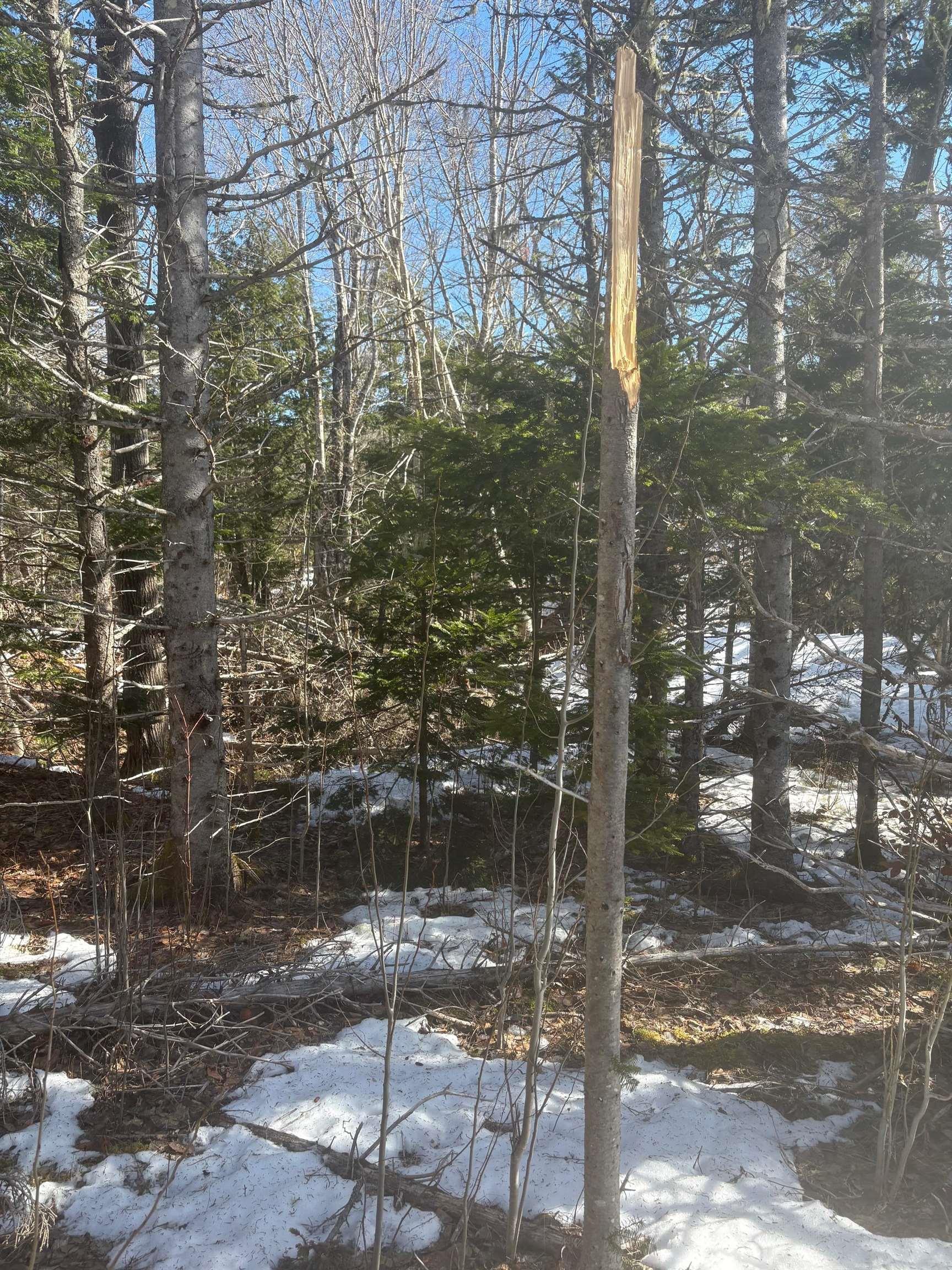 $109,000.00: DA23-2 VL 311 Highway, Earltown