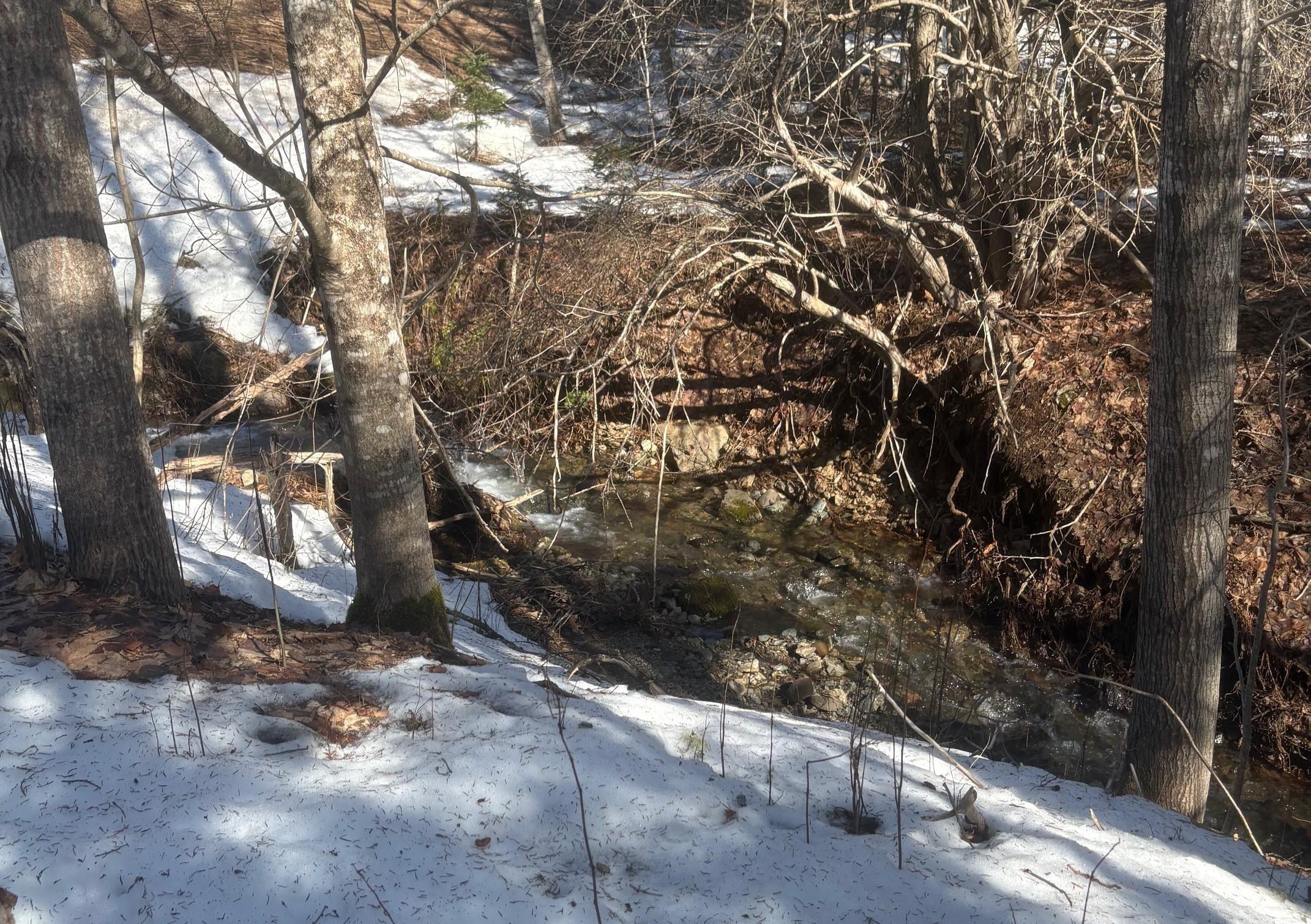 $109,000.00: DA23-2 VL 311 Highway, Earltown