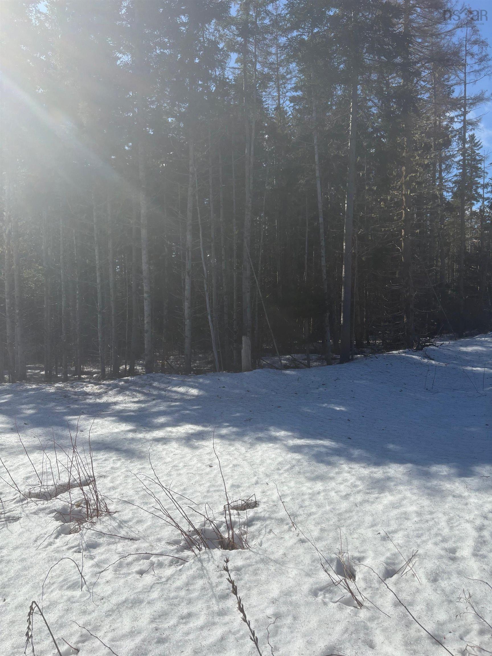 $109,000.00: DA23-2 VL 311 Highway, Earltown