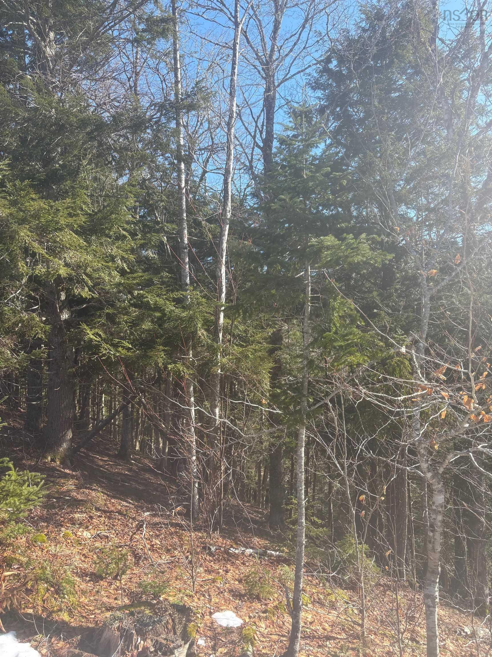 $109,000.00: DA23-2 VL 311 Highway, Earltown