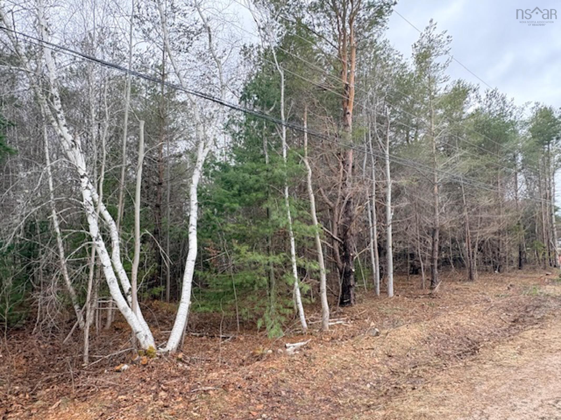 $49,900.00: Lot 3 Wanda Lynn Drive, Nictaux