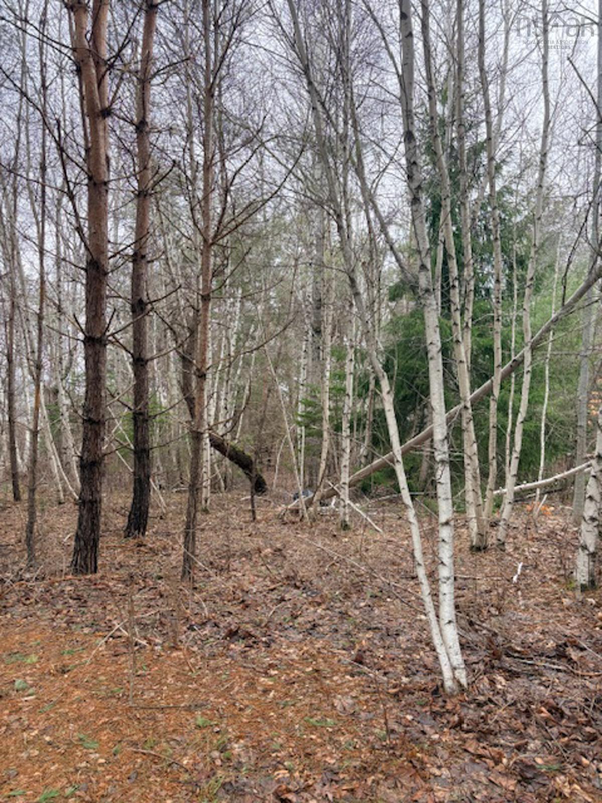 $49,900.00: Lot 3 Wanda Lynn Drive, Nictaux