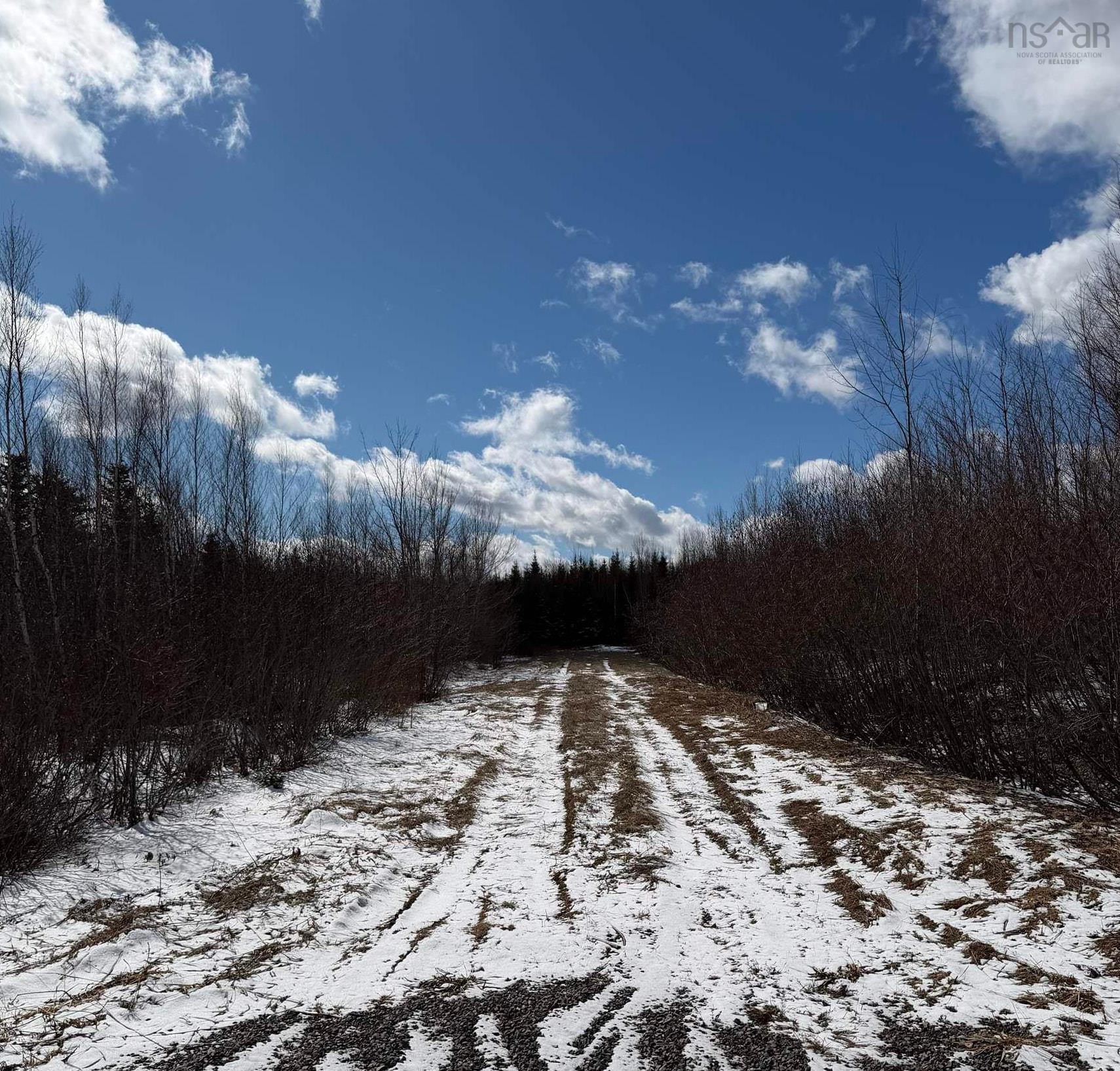 25 Acres Lake Road, Tatamagouche, NS (MLS® 202604870)