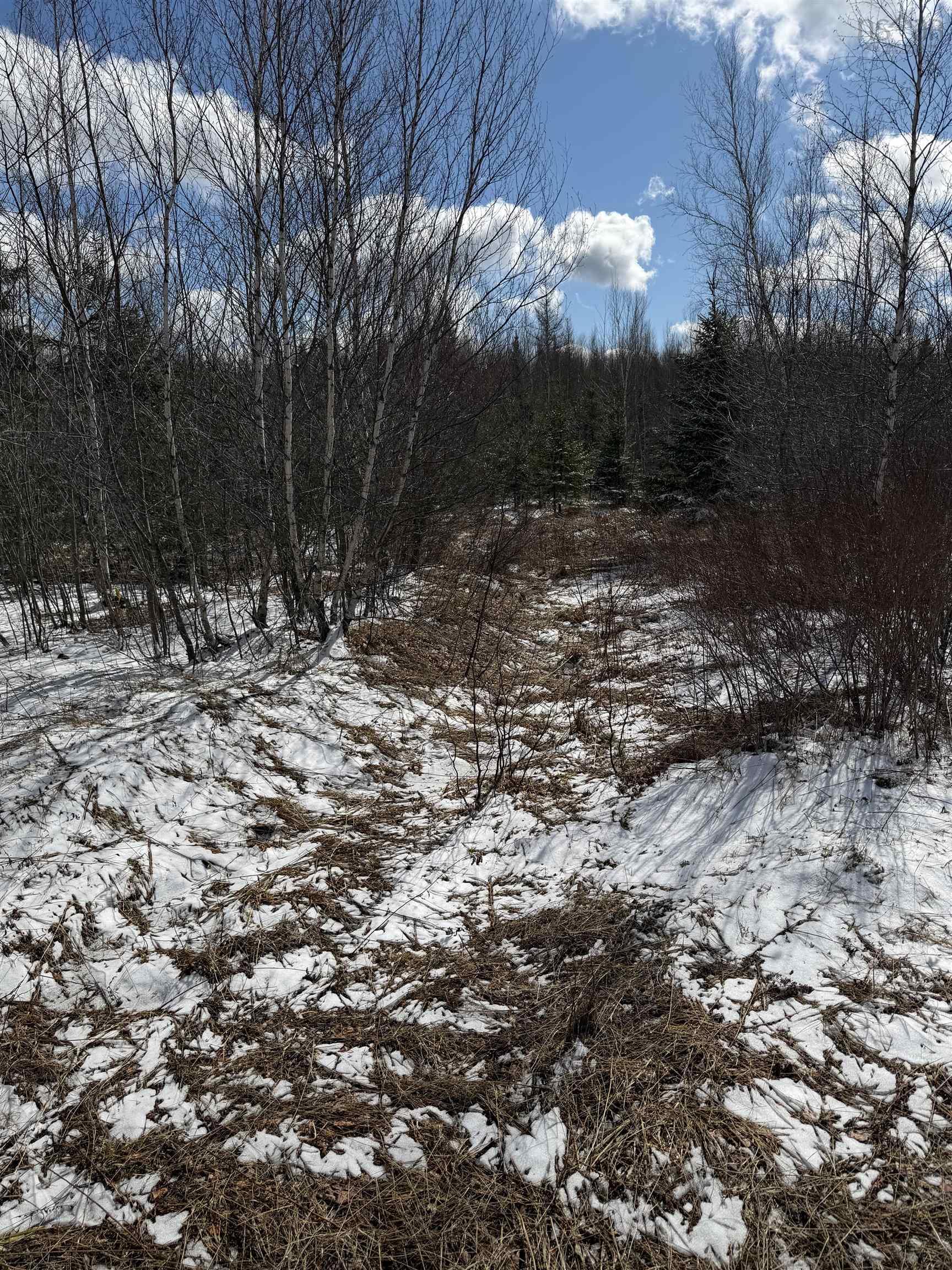 $57,400.00: 25 Acres Lake Road, Tatamagouche