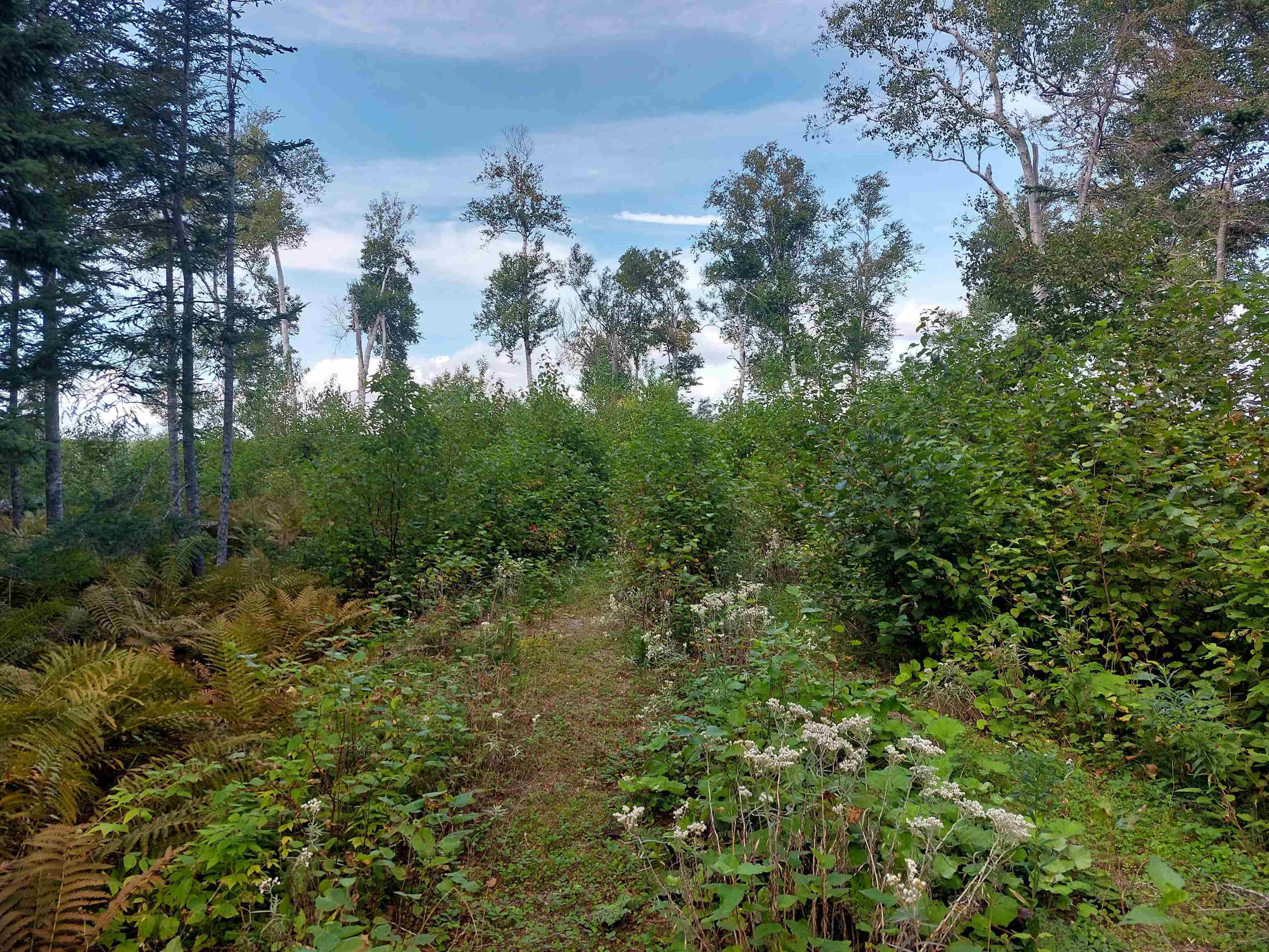 $139,000.00: Lot 23 Sky Way, Big Harbour