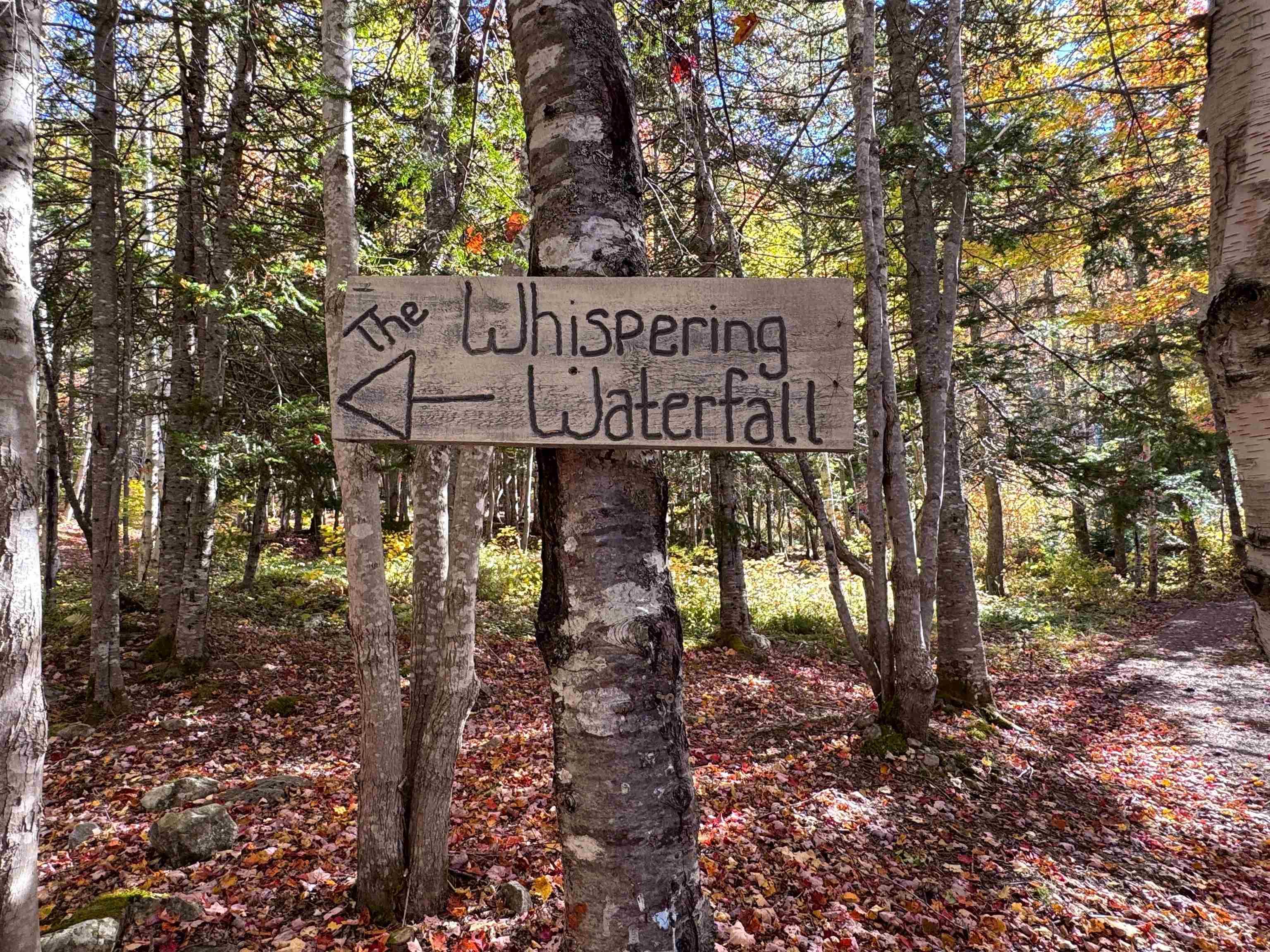 $324,900.00: 47403 Cabot Trail, Tarbotvale