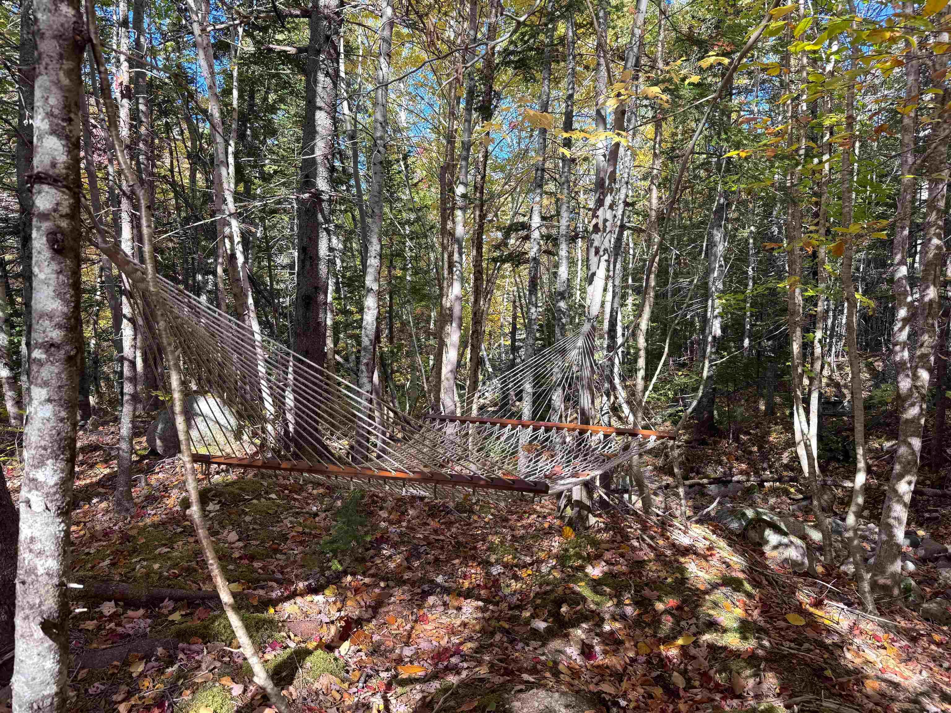 $324,900.00: 47403 Cabot Trail, Tarbotvale