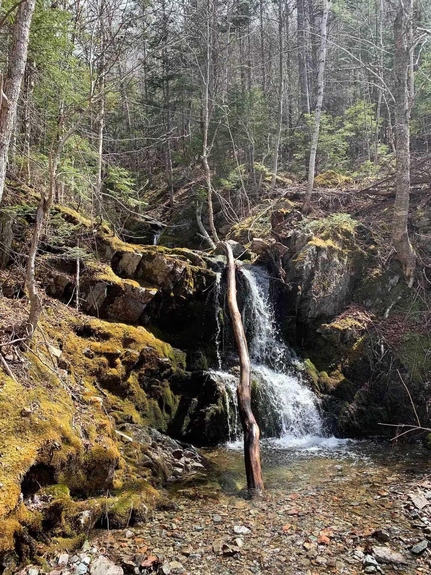 $324,900.00: 47403 Cabot Trail, Tarbotvale