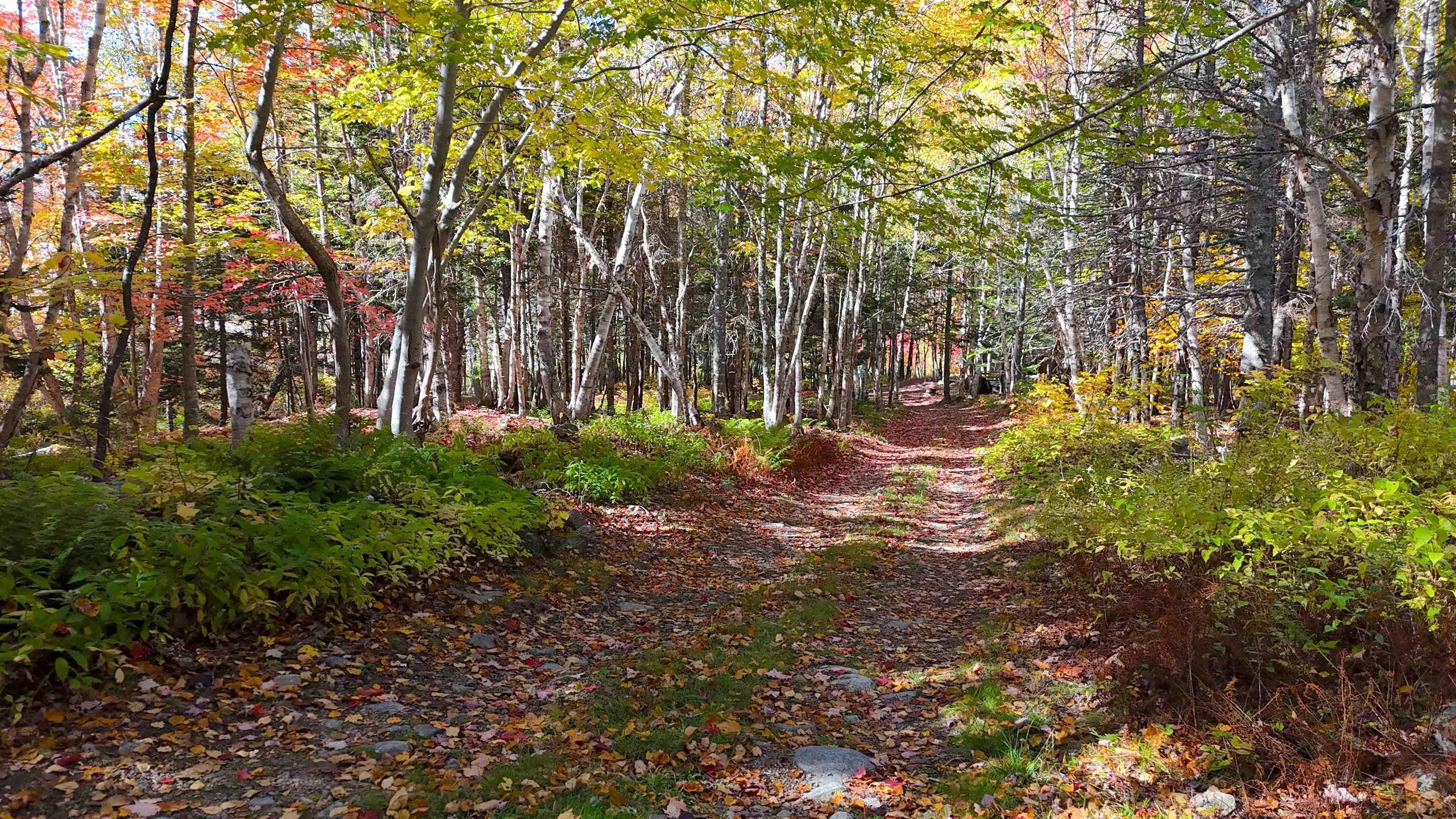 $324,900.00: 47403 Cabot Trail, Tarbotvale