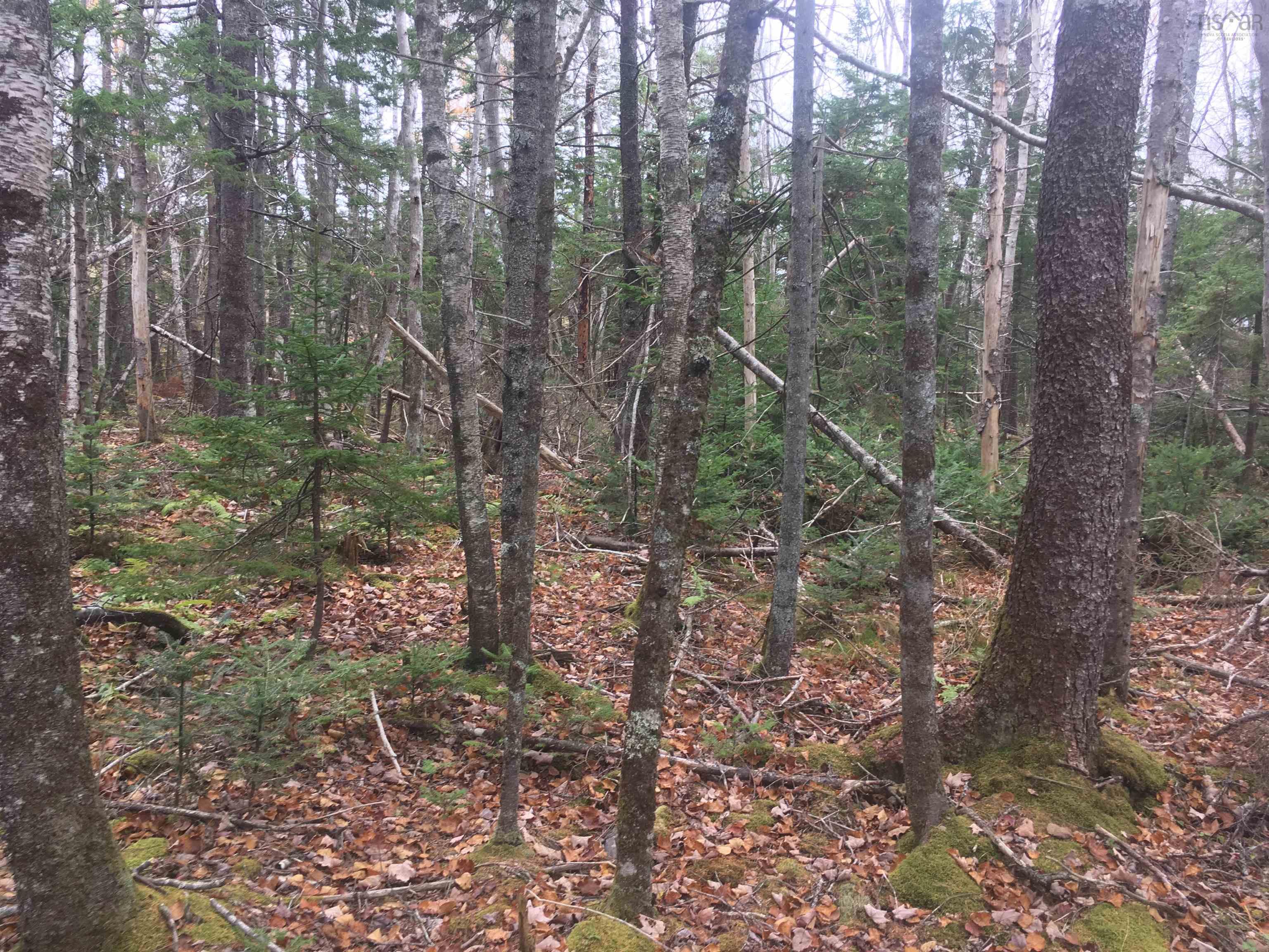 $34,500.00: Lot Maxwellton Road, Meteghan River