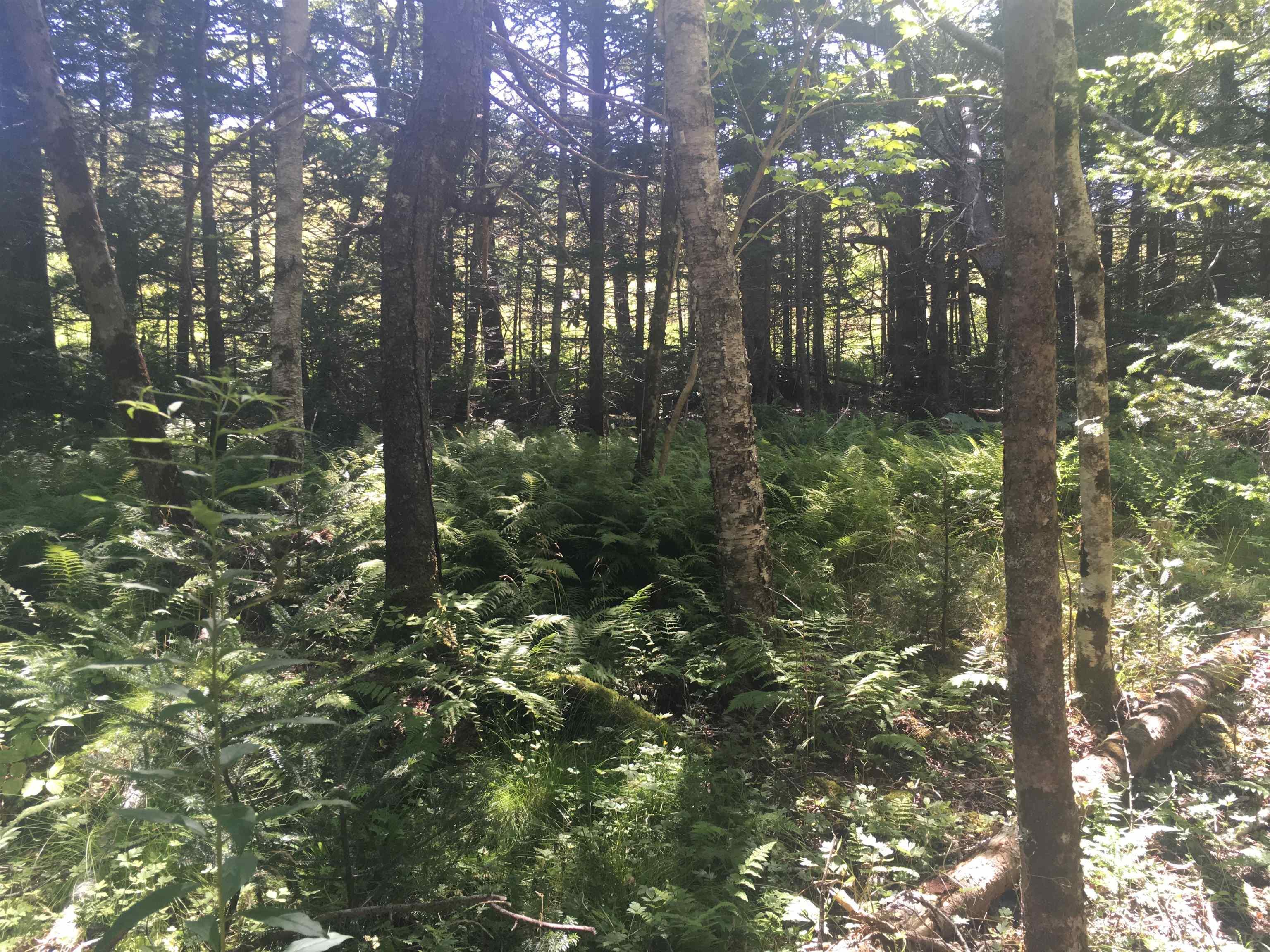 $34,500.00: Lot Maxwellton Road, Meteghan River