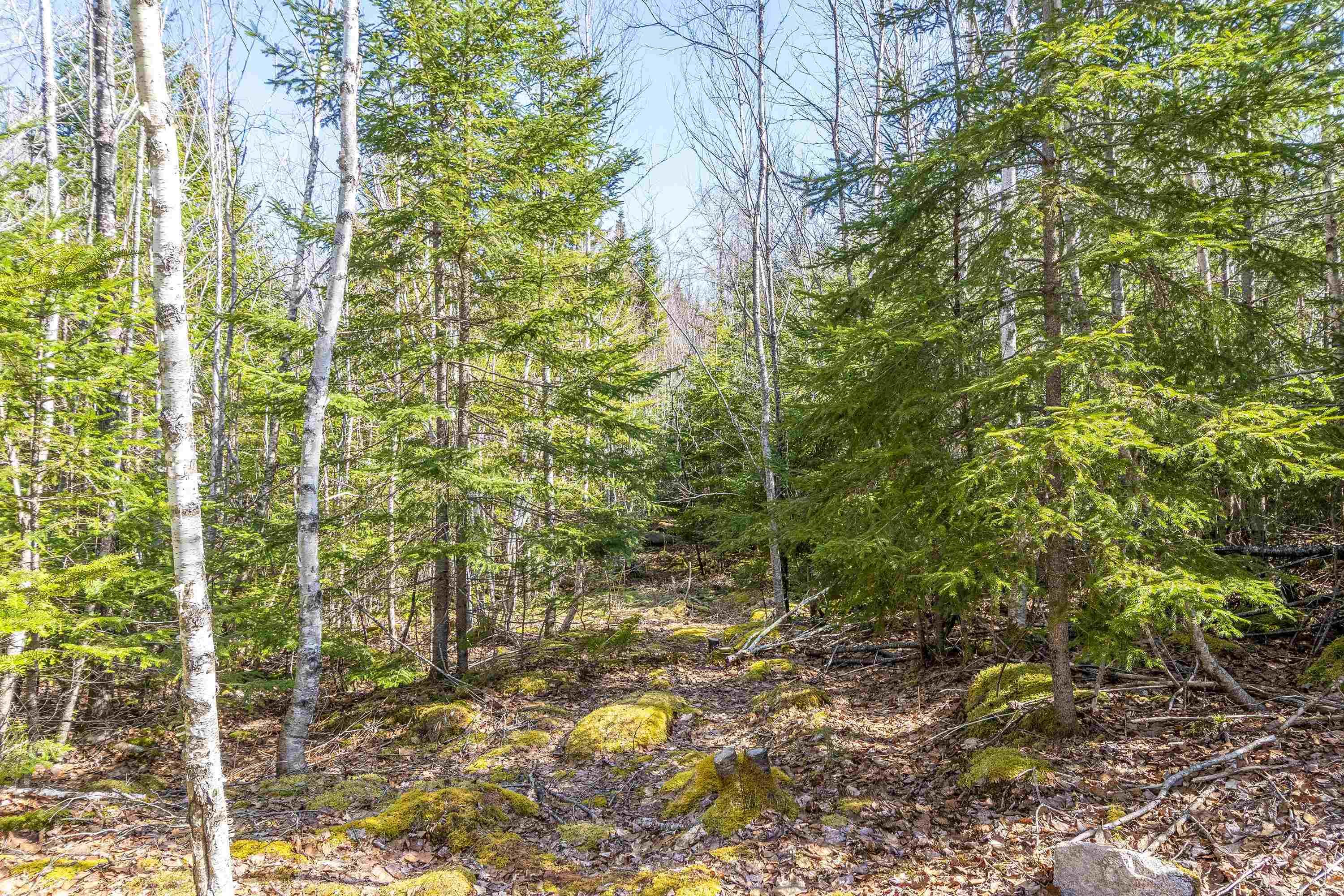 $79,900.00: 87-1 Falkenham Road, East Dalhousie