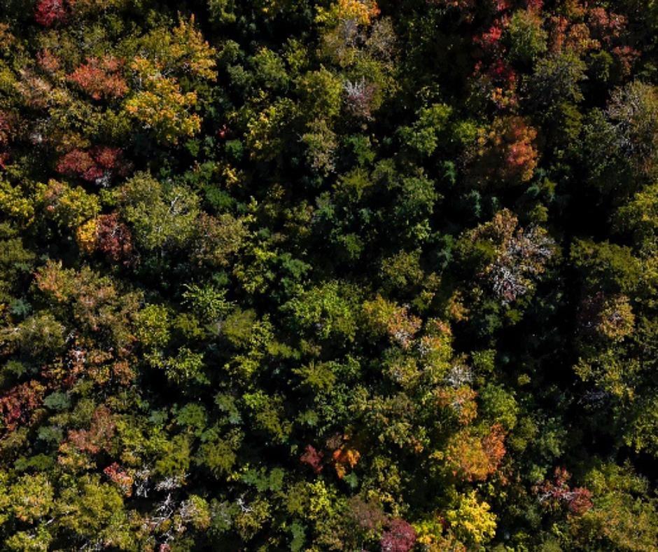 $79,900.00: 87-1 Falkenham Road, East Dalhousie