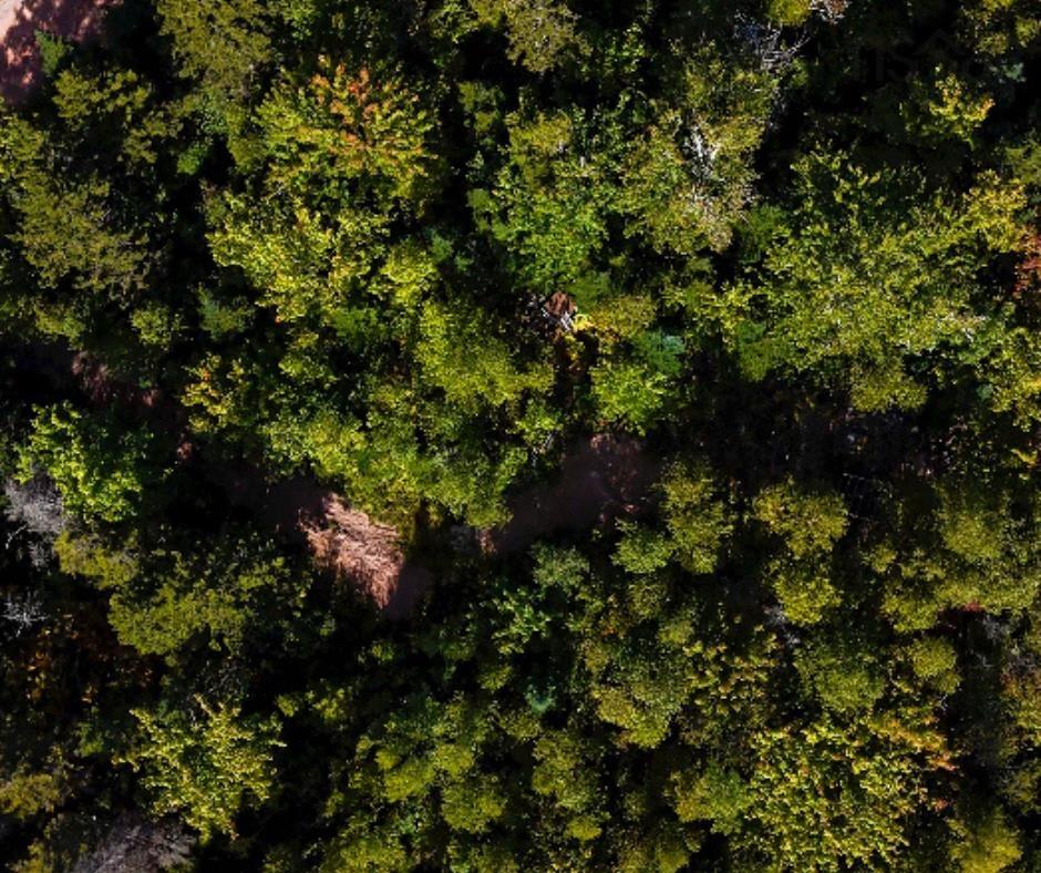 $79,900.00: 87-1 Falkenham Road, East Dalhousie