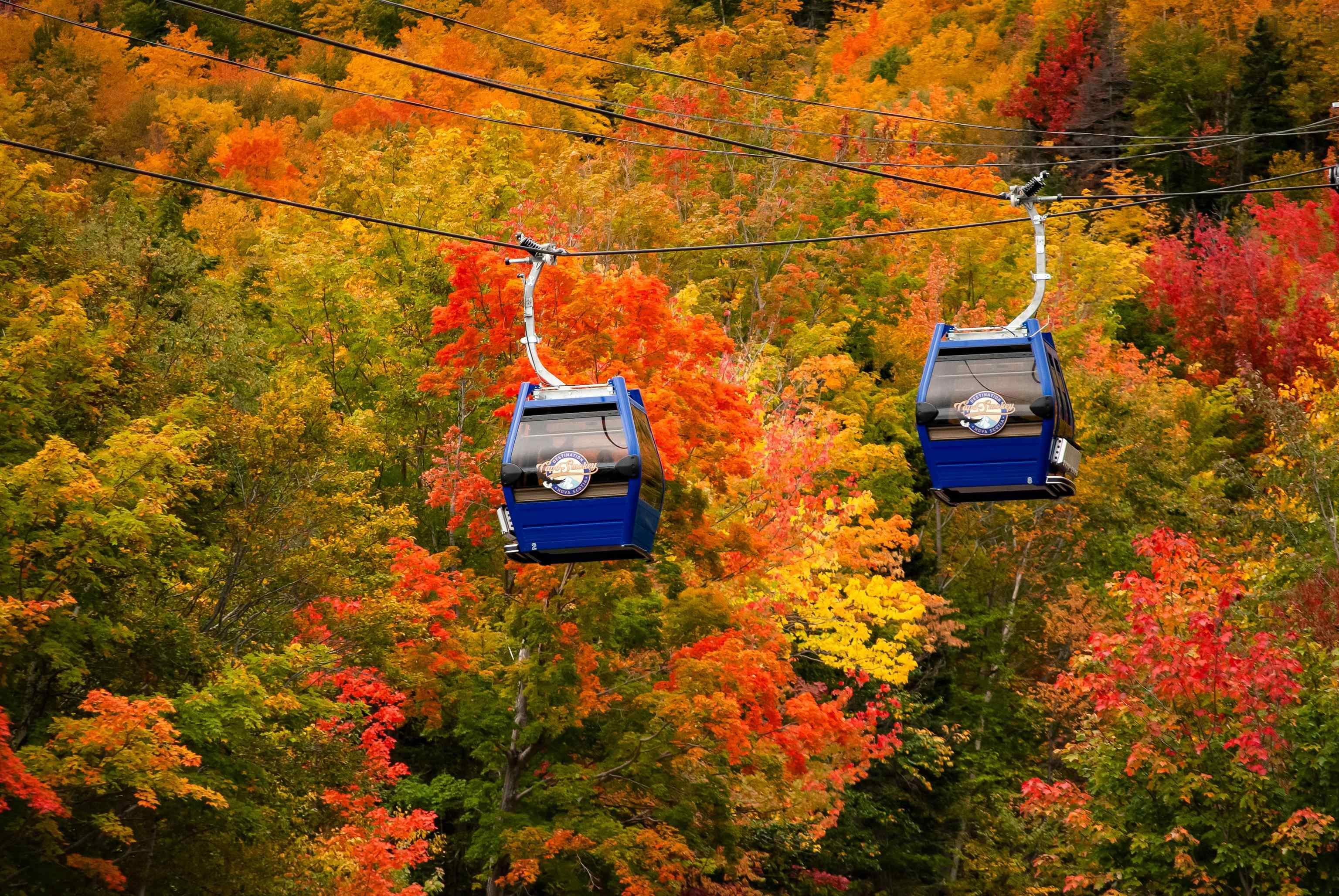 $1,825,000.00: 31 Osprey Lane, Ingonish Harbour