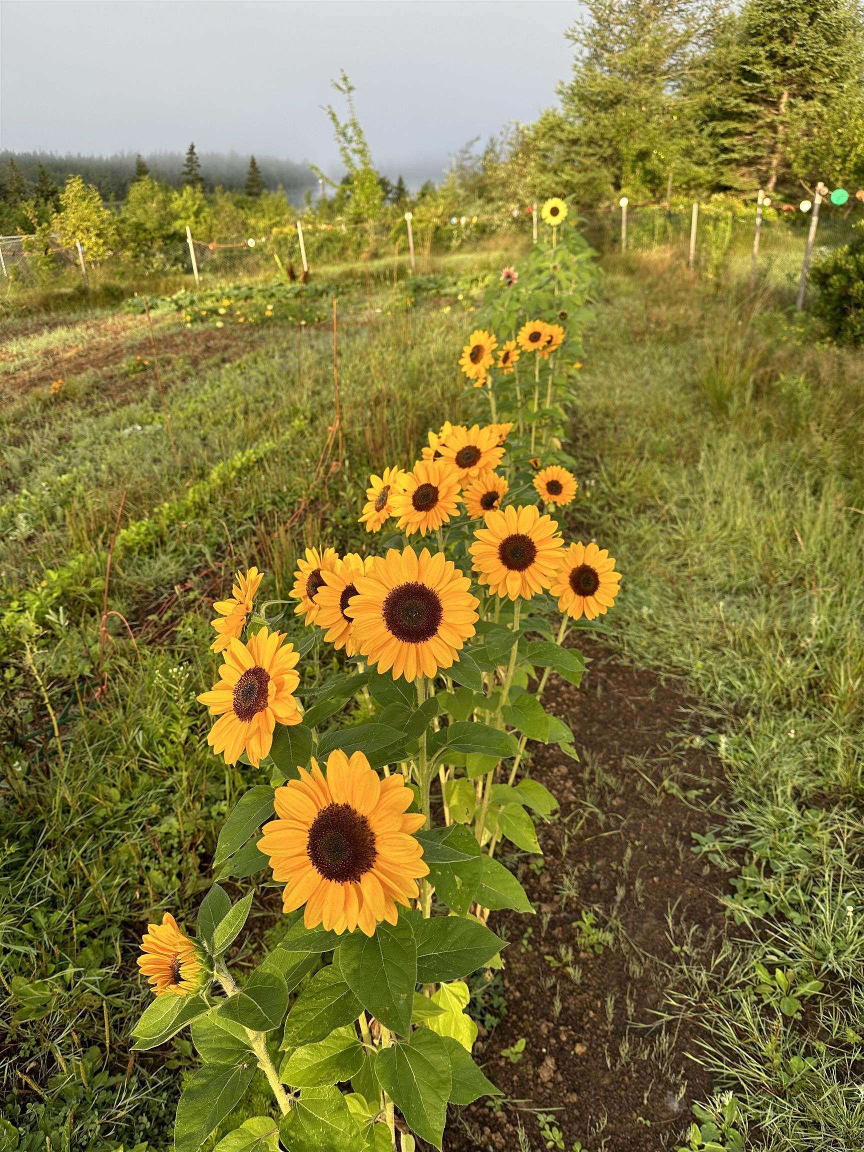 $399,000.00: 3463 Loch Lomond Rd., Loch Lomond