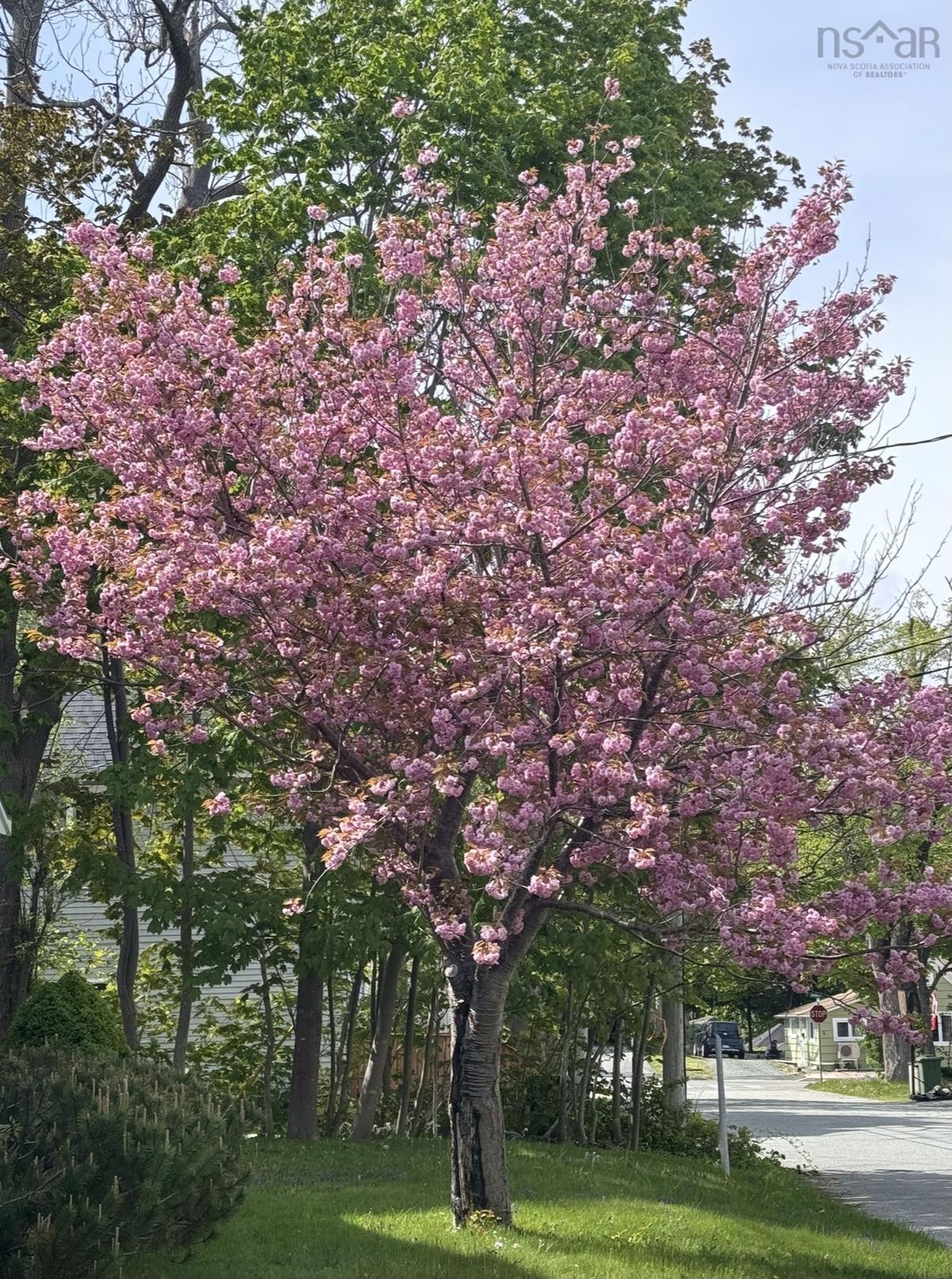 $417,500.00: 20 BOEHNER Street, Liverpool