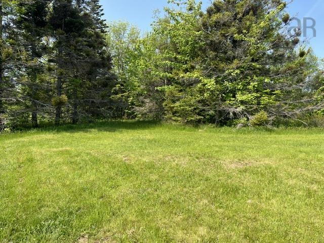 $160,000.00: 1129 Mckenzie Mountain Road, Litchfield