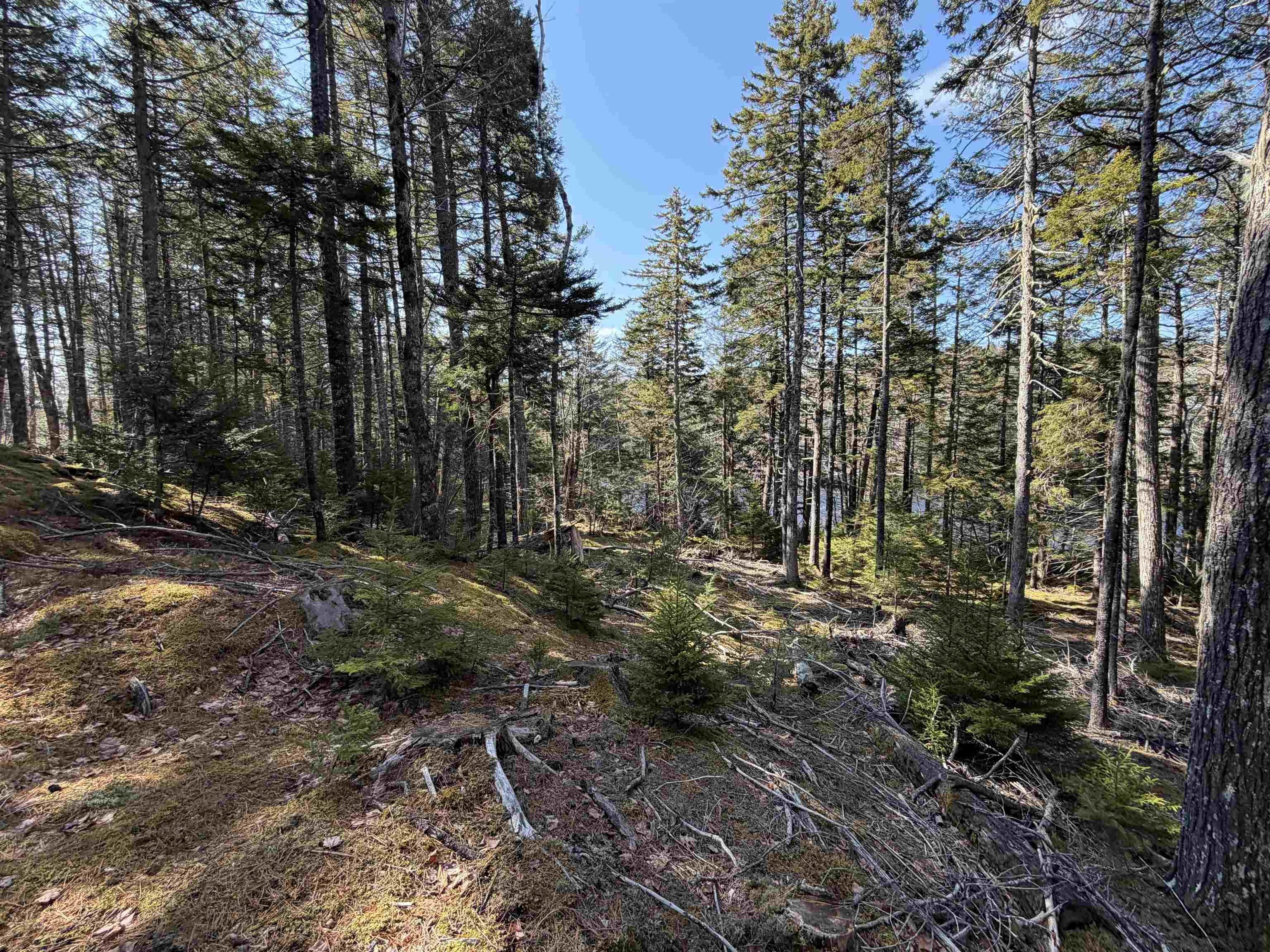$99,900.00: Lot 2 Narrows Road, Labelle