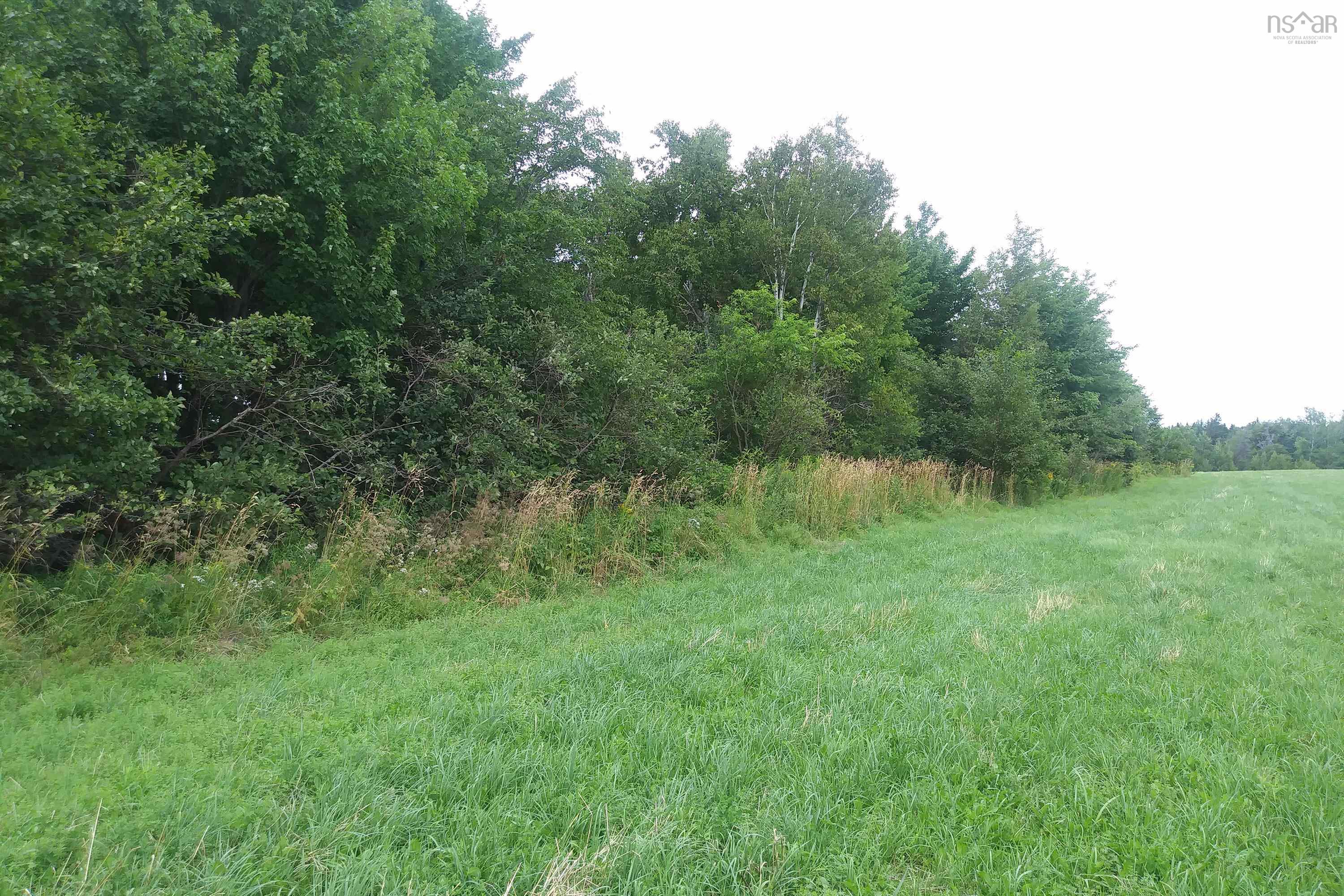 $75,000.00: Lot 25-2 7737 Highway 321, Roslin