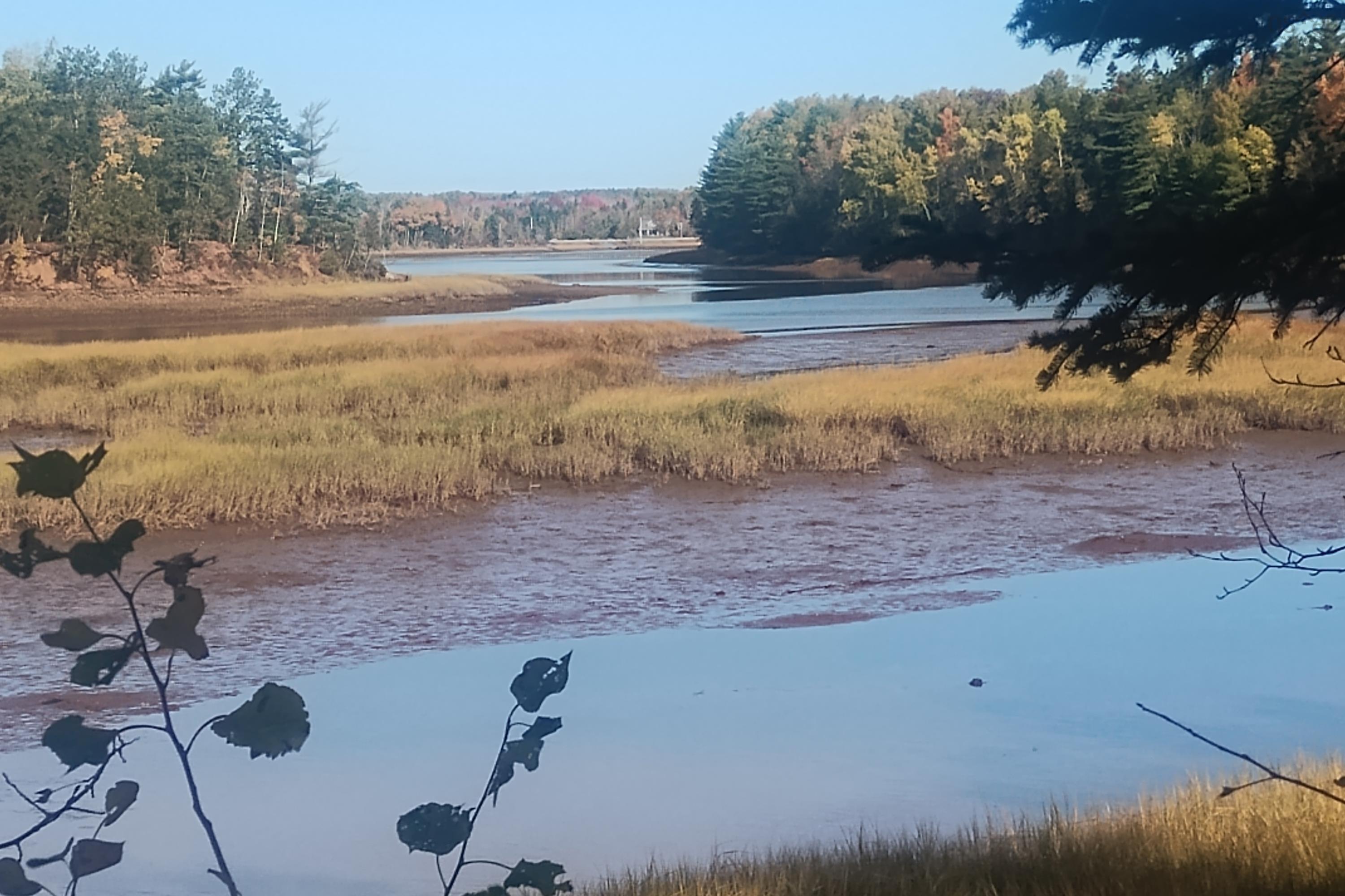 $75,000.00: Lot 25-2 7737 Highway 321, Roslin