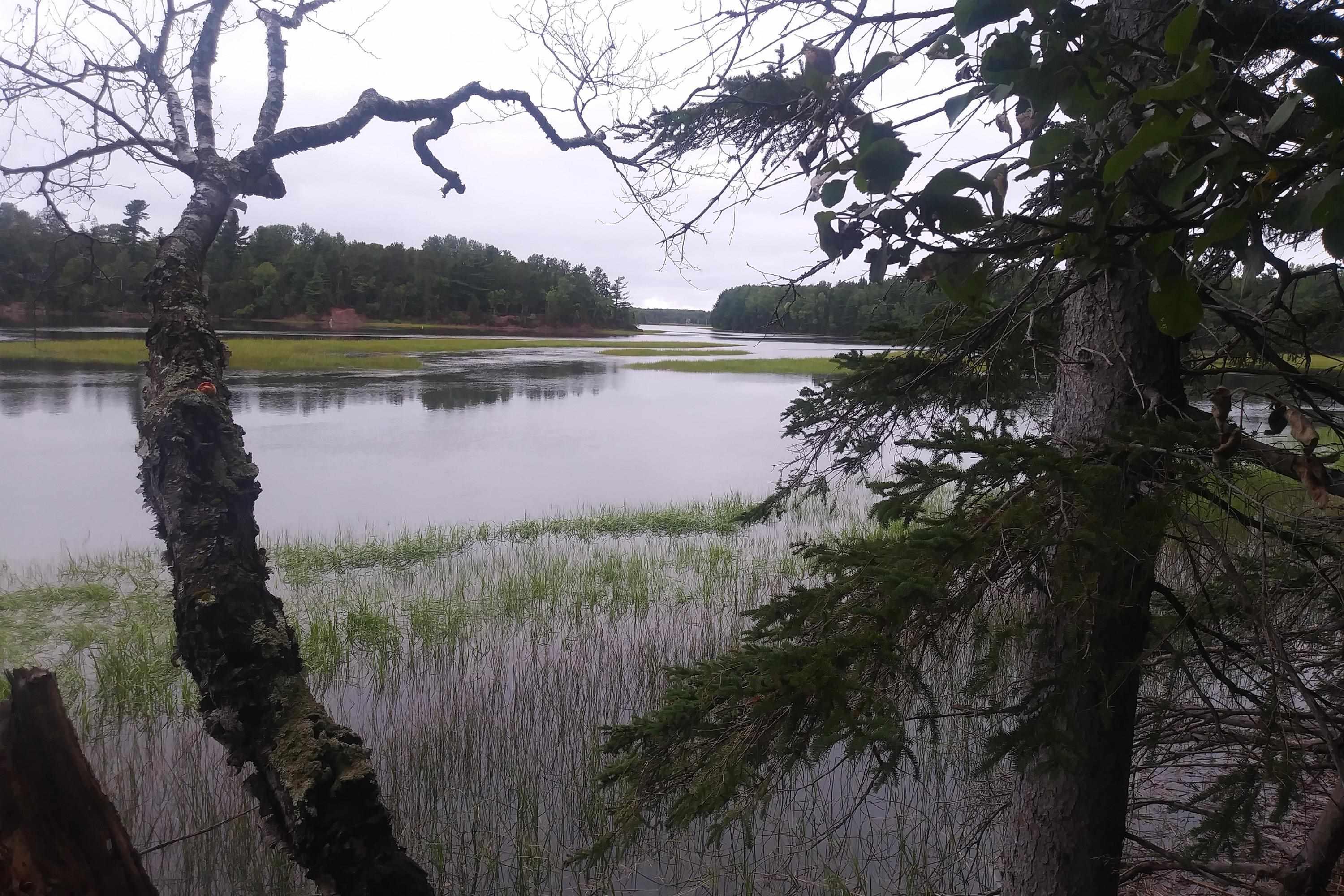 $75,000.00: Lot 25-2 7737 Highway 321, Roslin