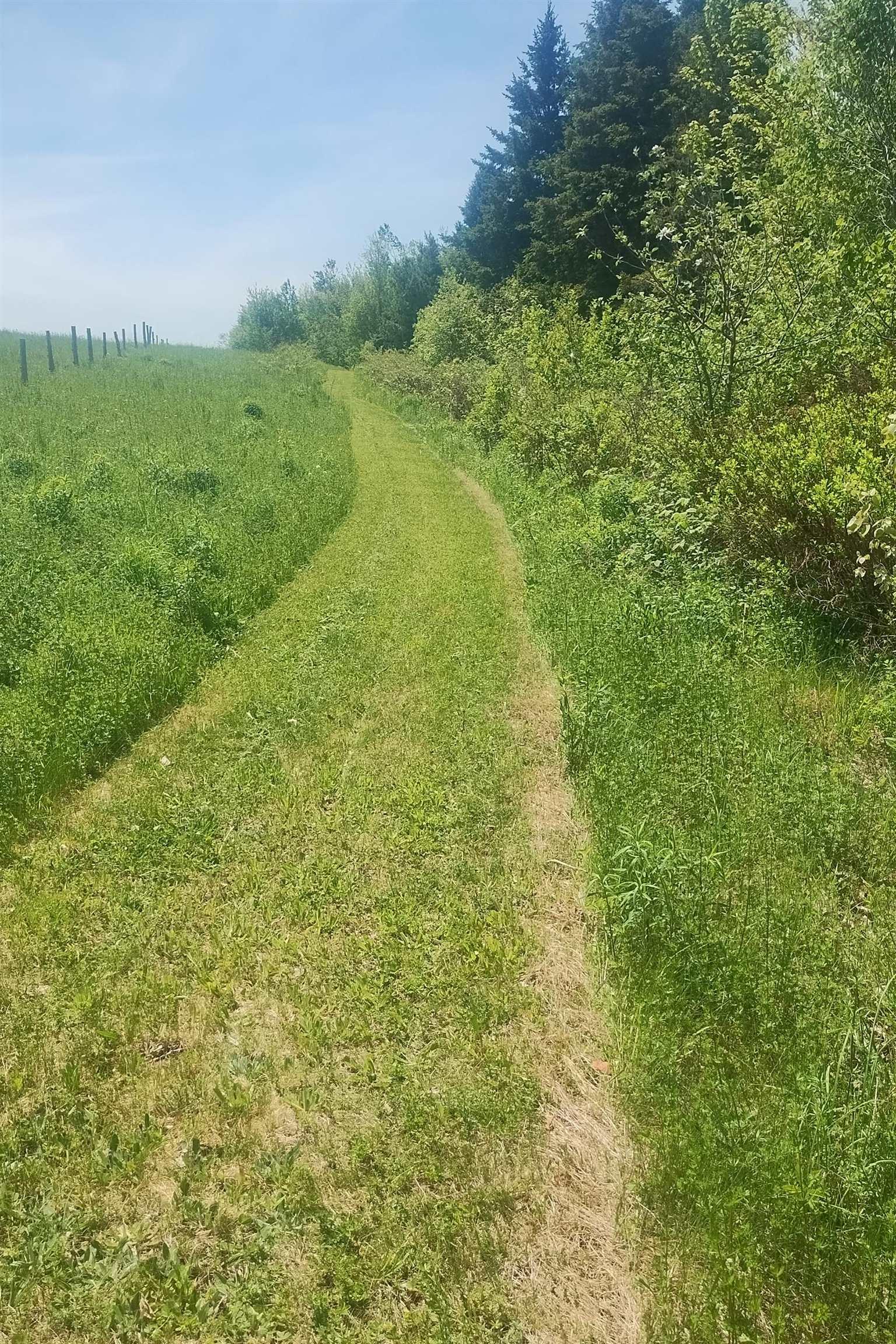 $75,000.00: Lot 25-2 7737 Highway 321, Roslin