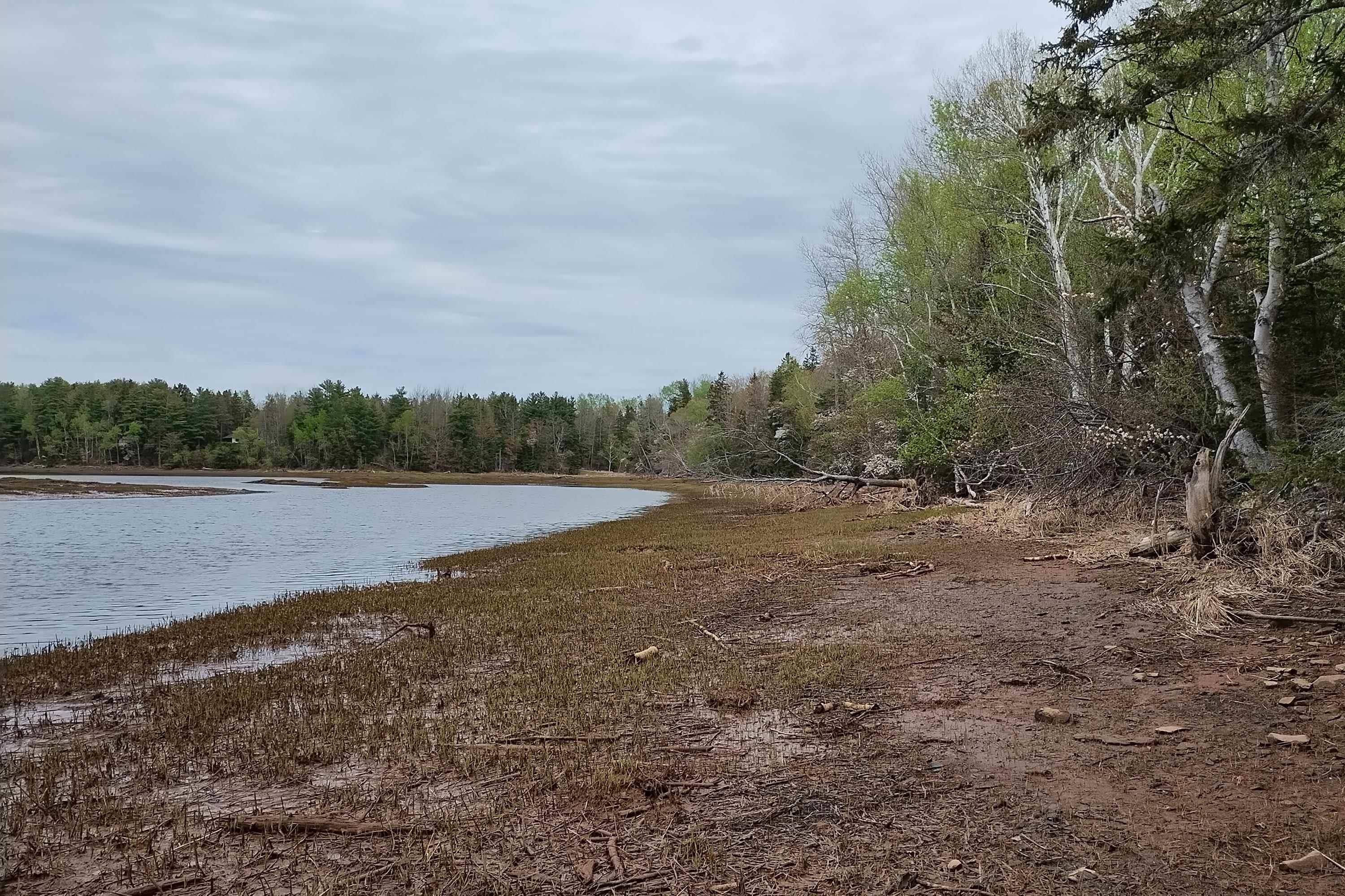 $75,000.00: Lot 25-1 Highway 321, Roslin