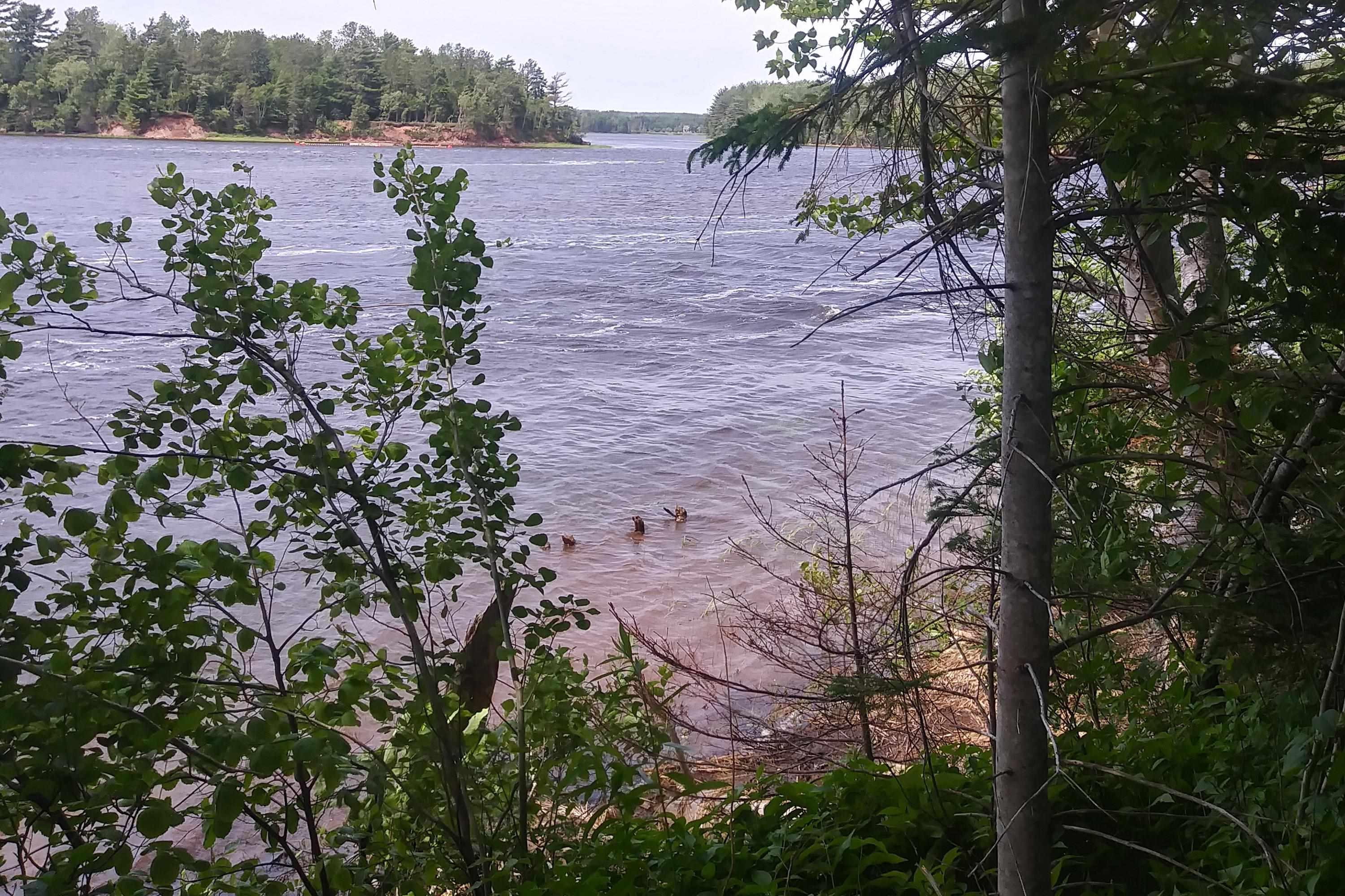 $75,000.00: Lot 25-1 Highway 321, Roslin