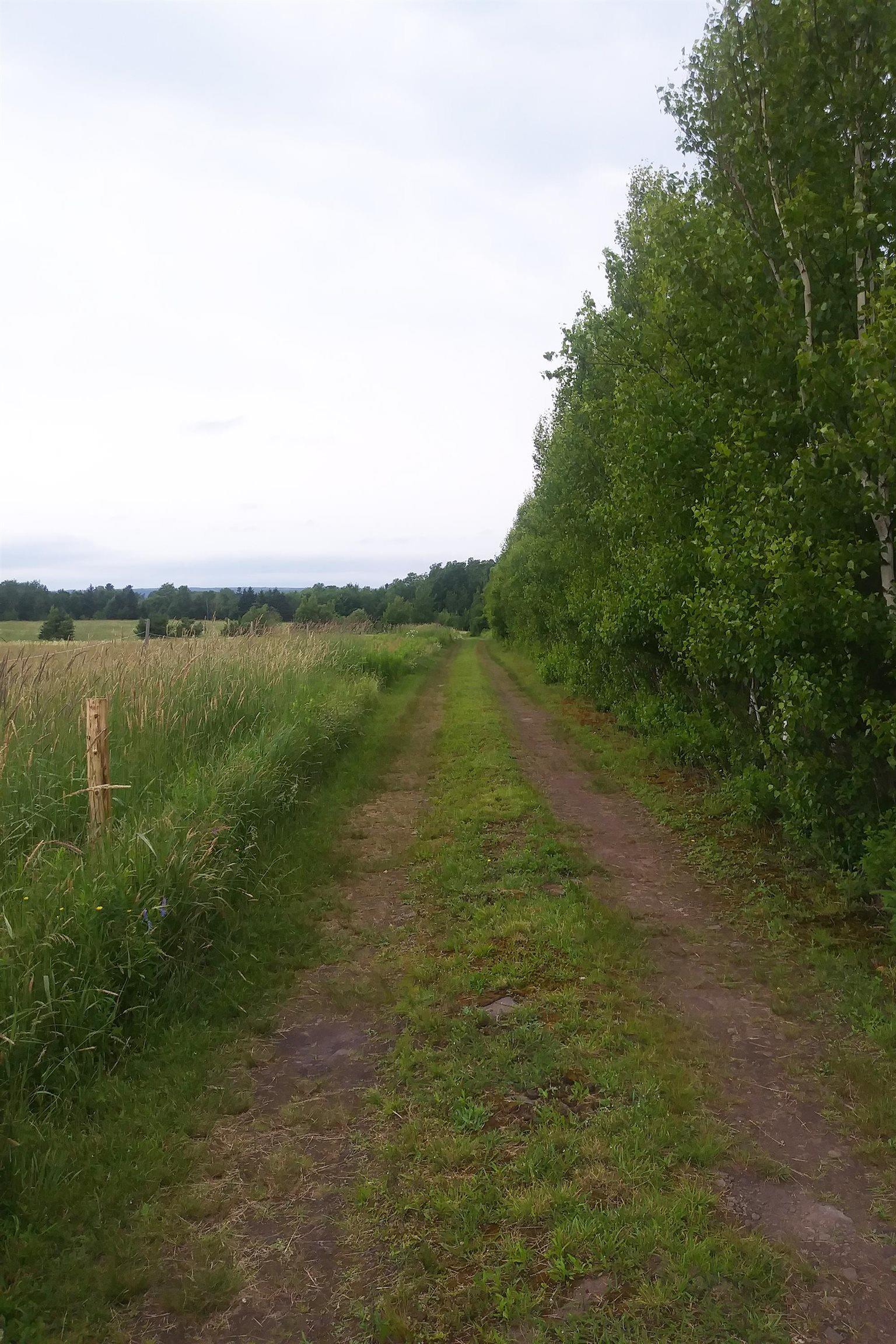 $75,000.00: Lot 25-1 Highway 321, Roslin