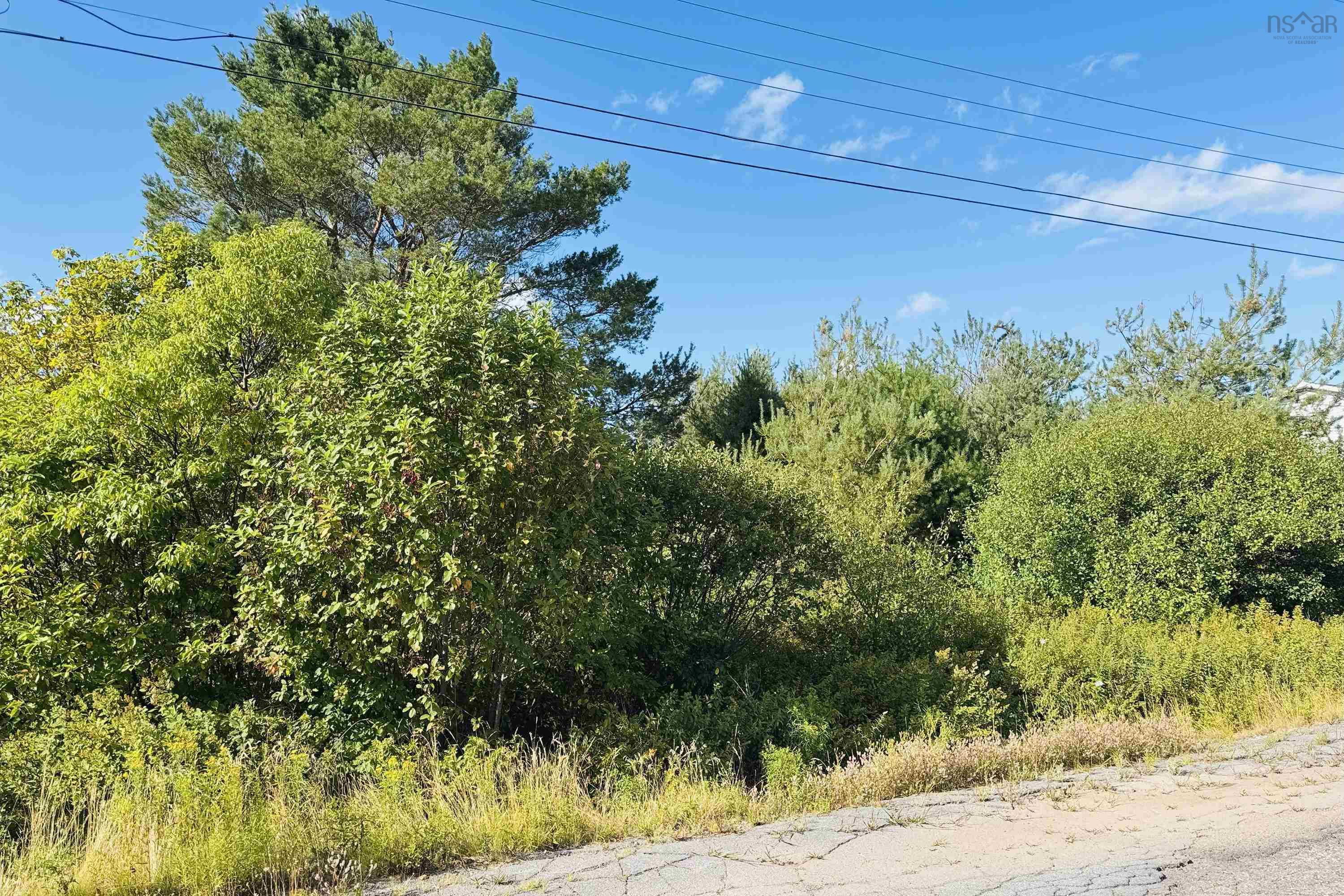 $15,999.00: 6 Sargent Avenue, Parrsboro