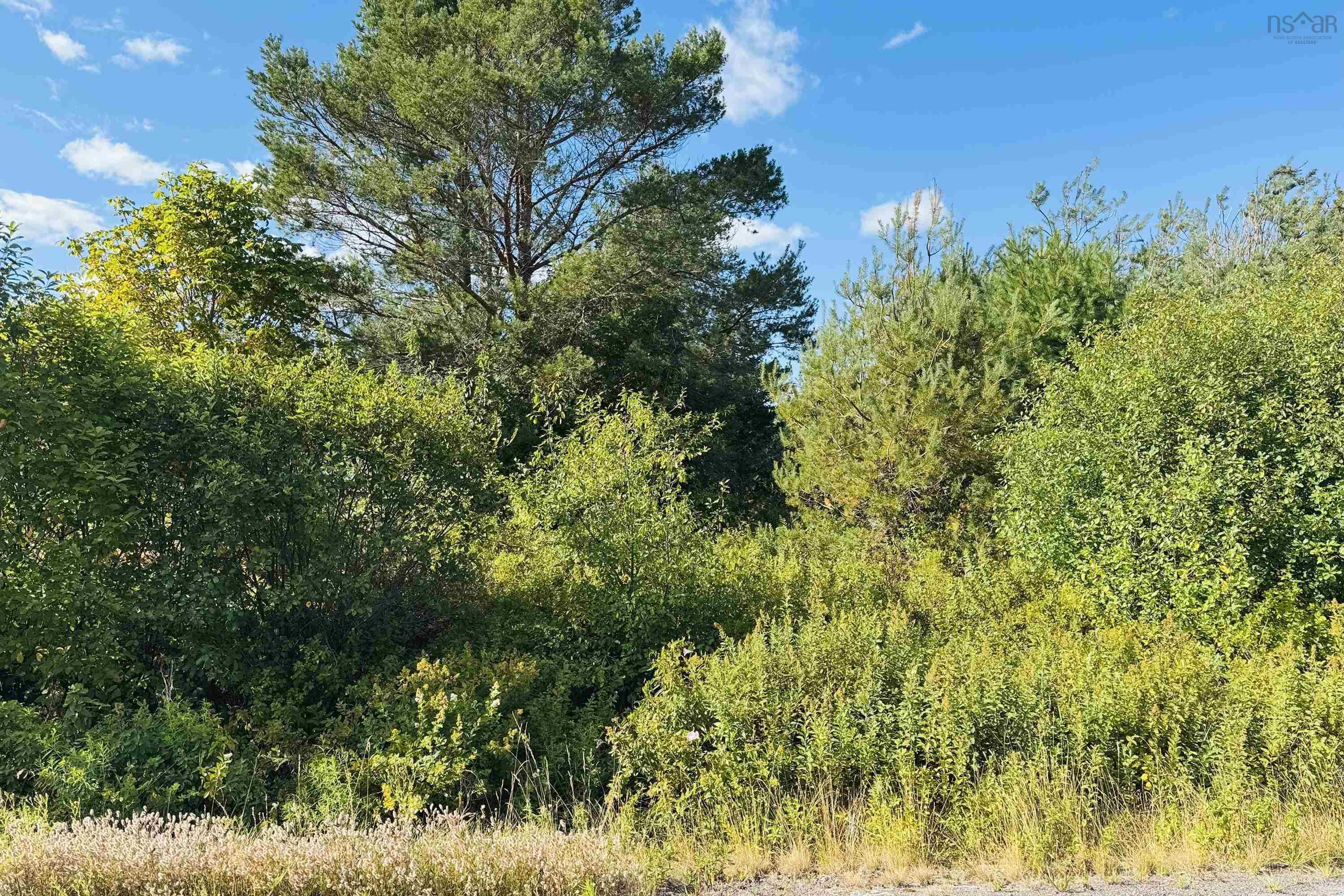 $15,999.00: 6 Sargent Avenue, Parrsboro