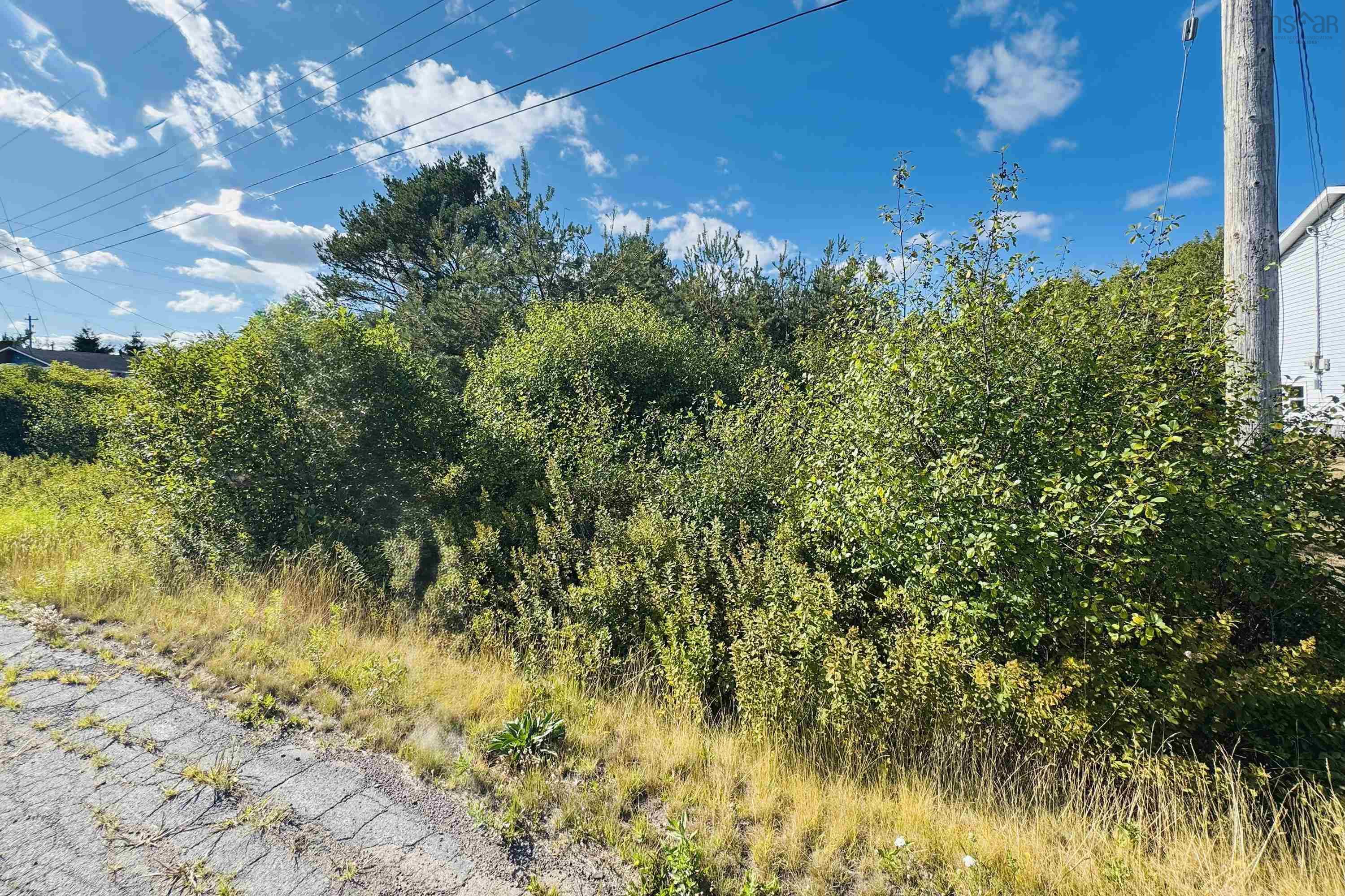 $15,999.00: 6 Sargent Avenue, Parrsboro