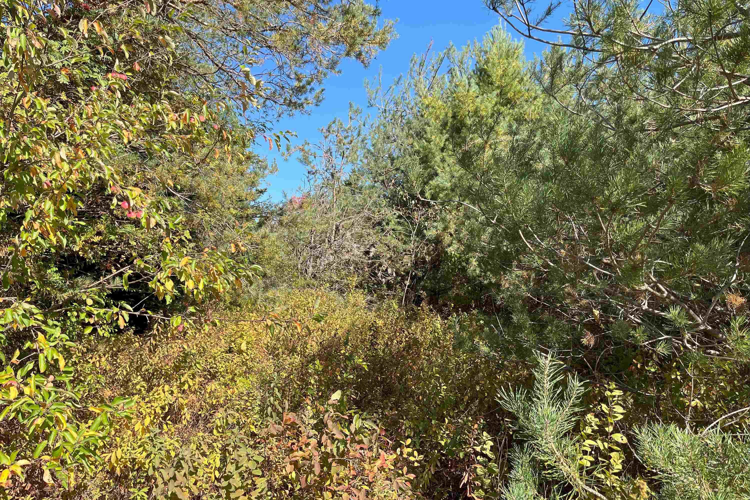 $15,999.00: 6 Sargent Avenue, Parrsboro