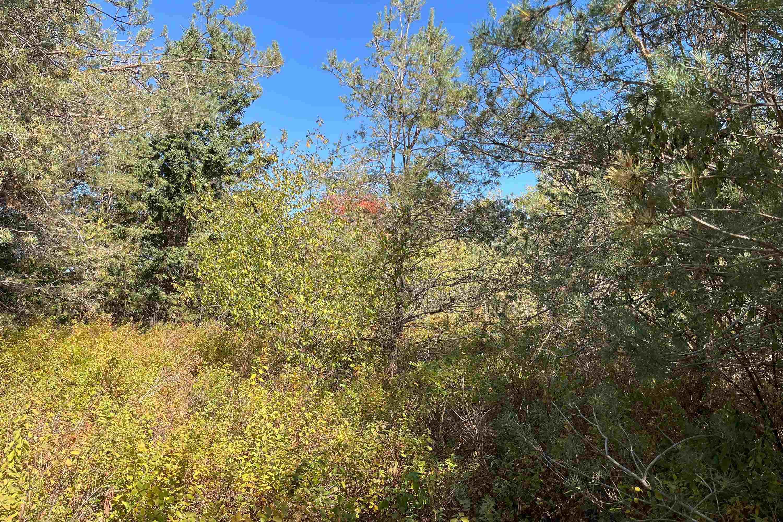 $15,999.00: 6 Sargent Avenue, Parrsboro