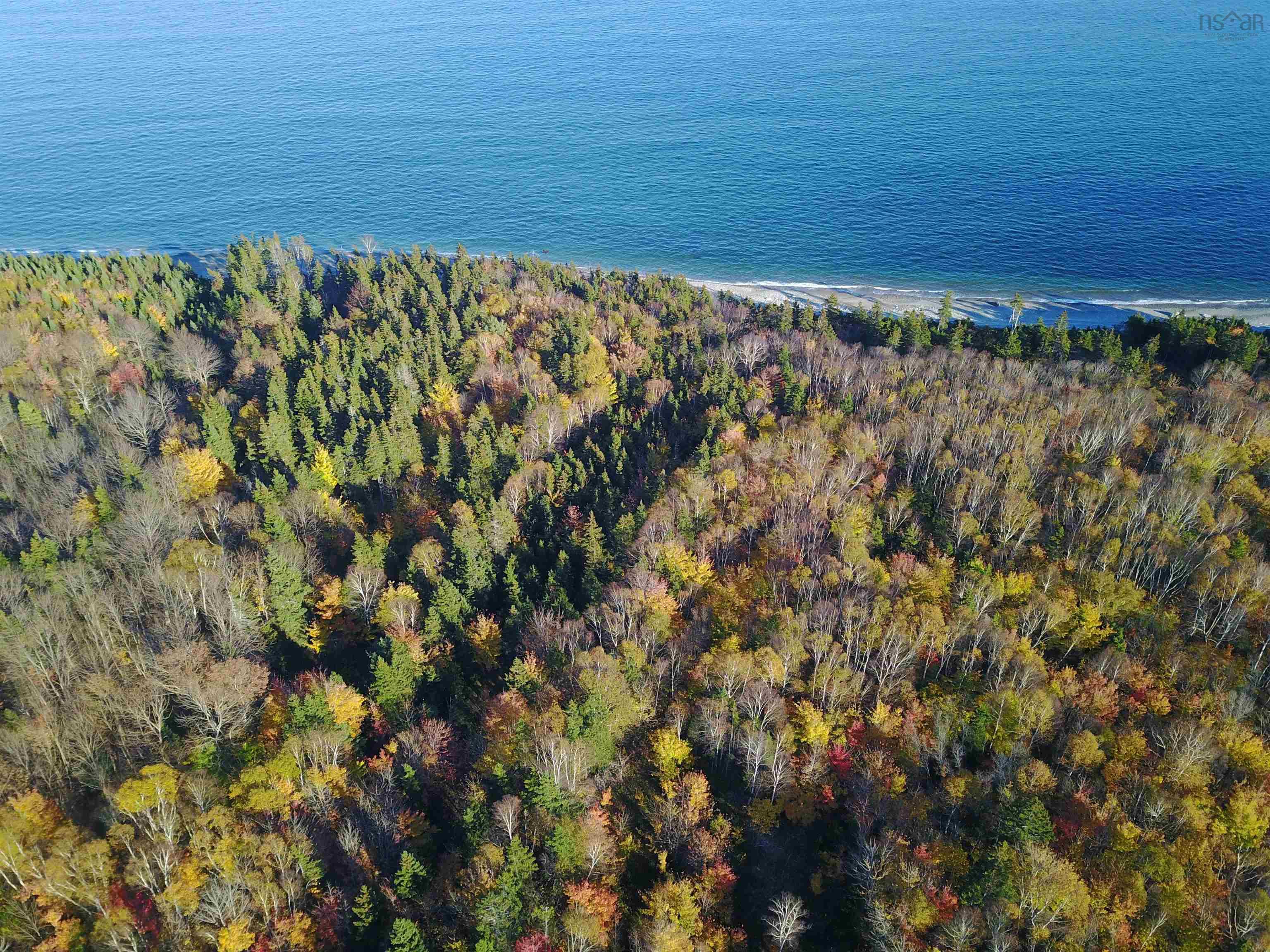 $195,000.00: 2023-1 Cabot Trail Road, Birch Plain