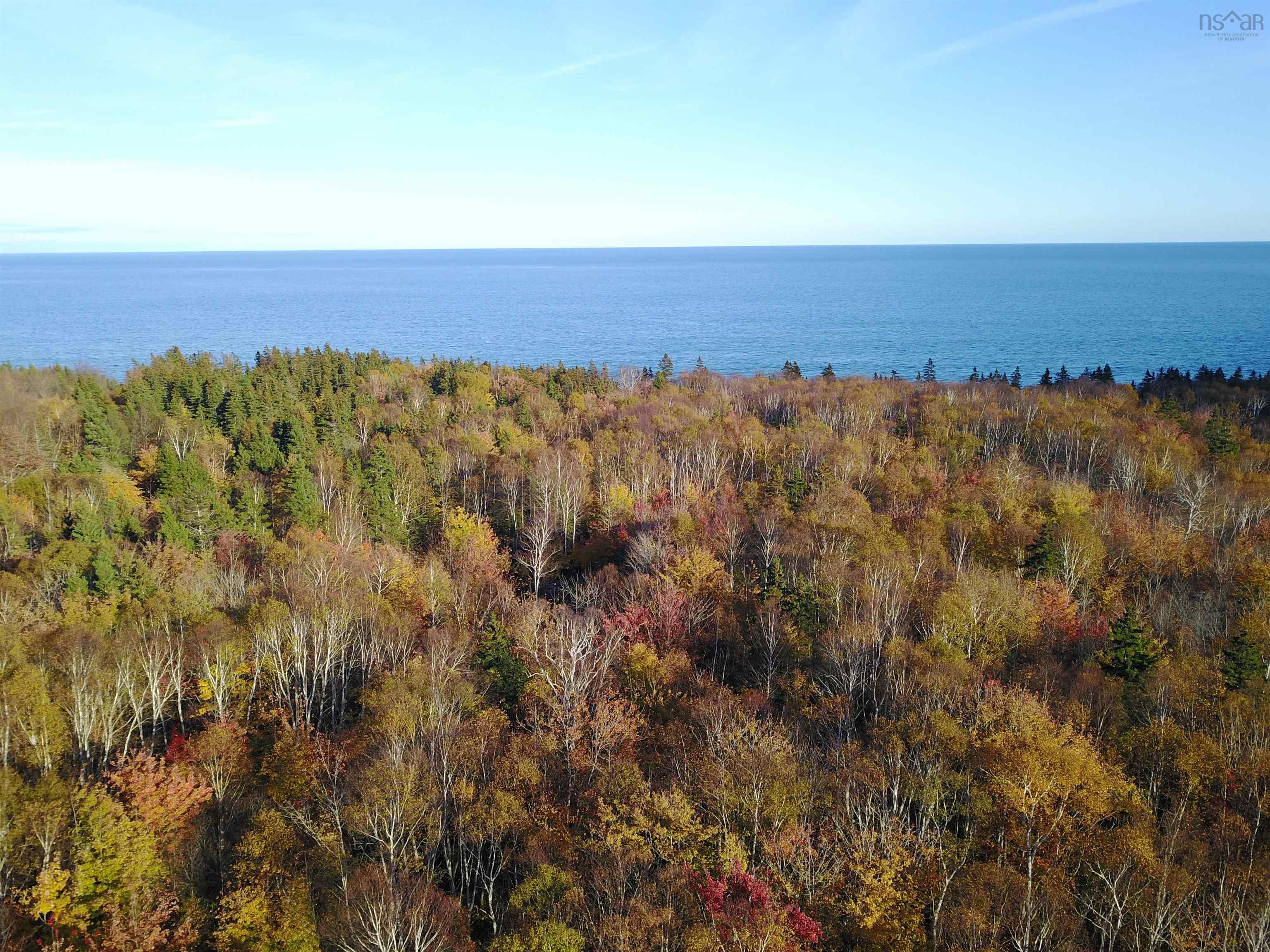 $195,000.00: 2023-1 Cabot Trail Road, Birch Plain