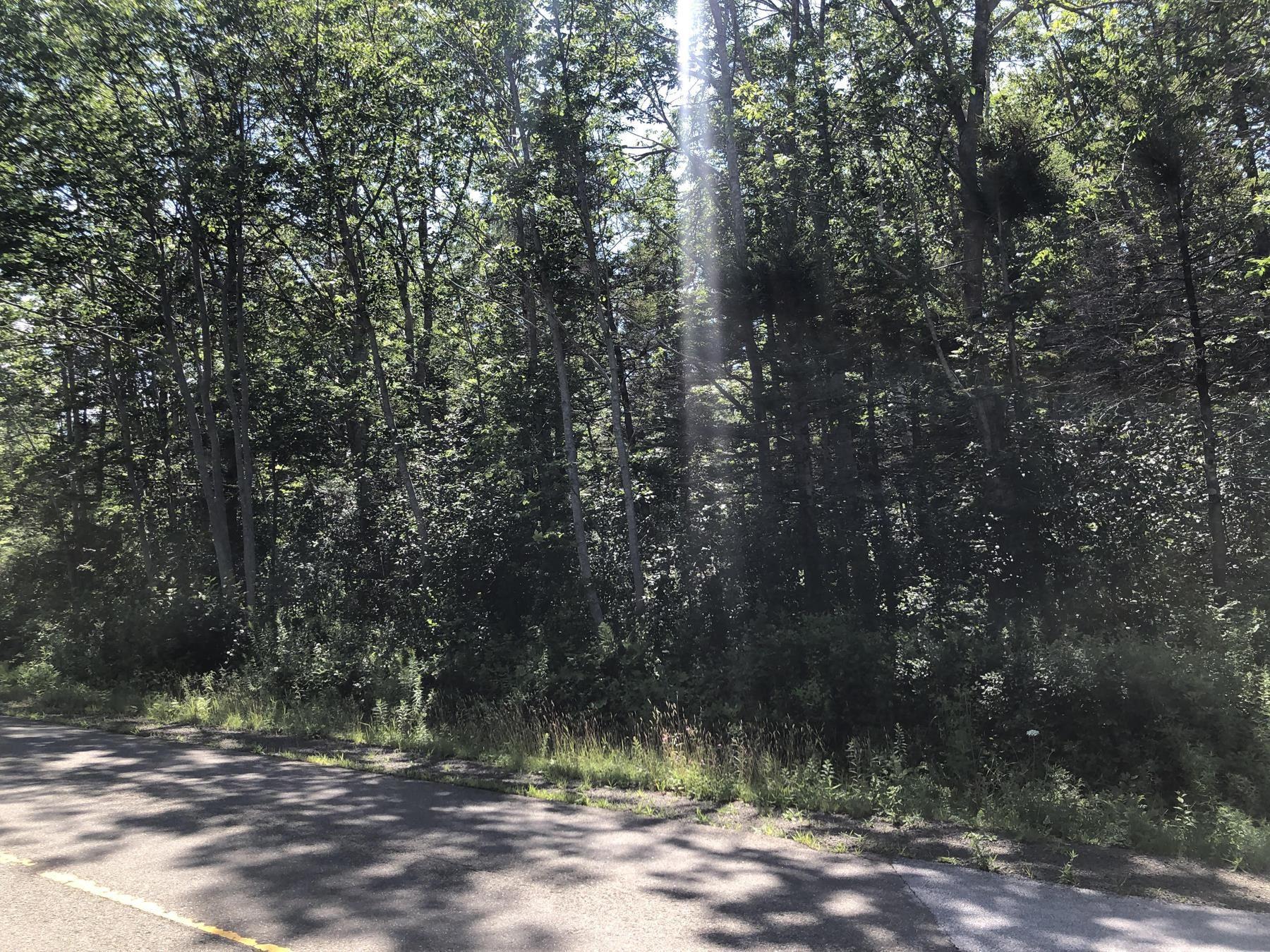 $99,000.00: Lot Lighthouse Road, Bay View